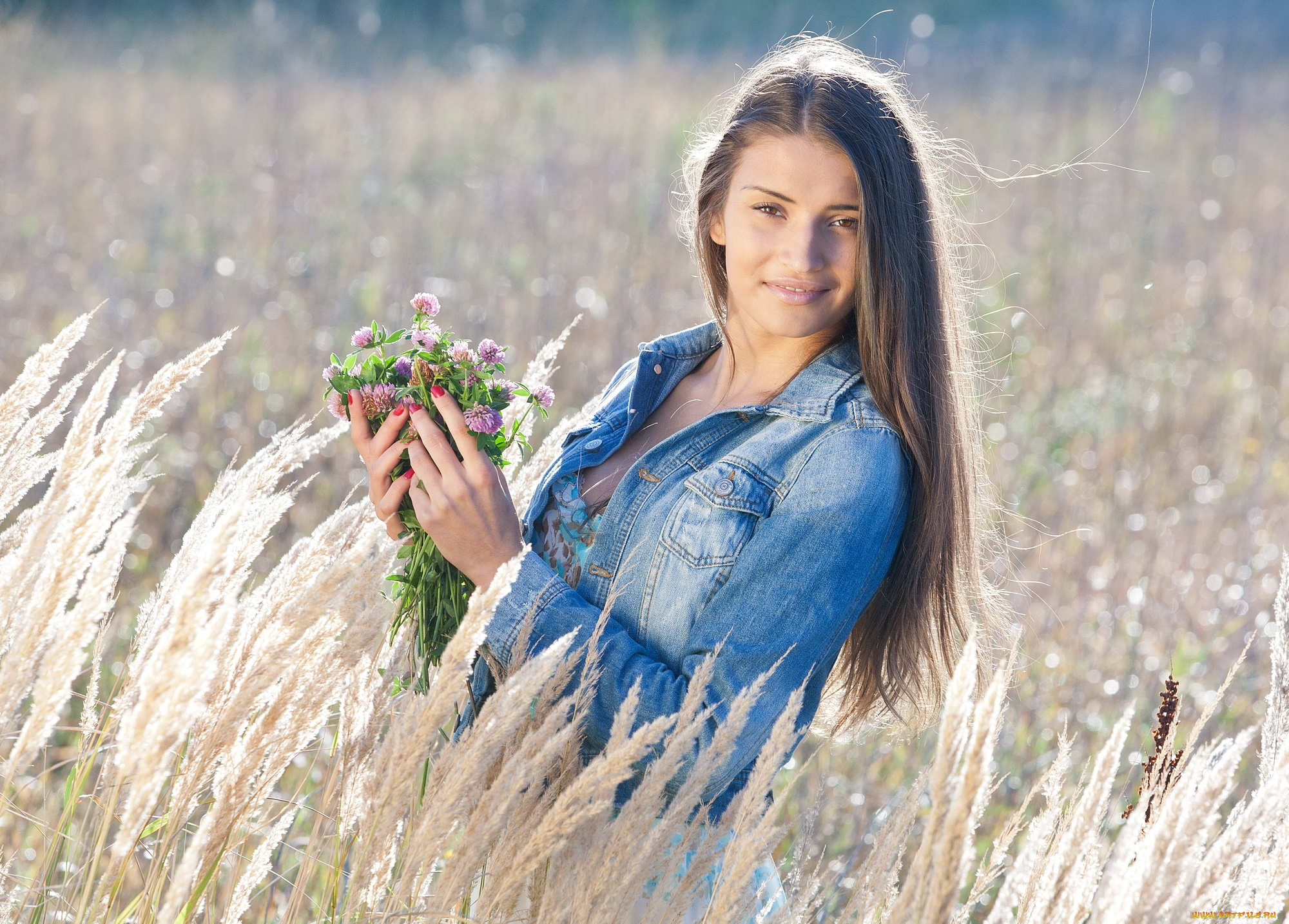 -Unsort, Брюнетки, Шатенки, девушки, unsort, брюнетки, шатенки, поле, волосы