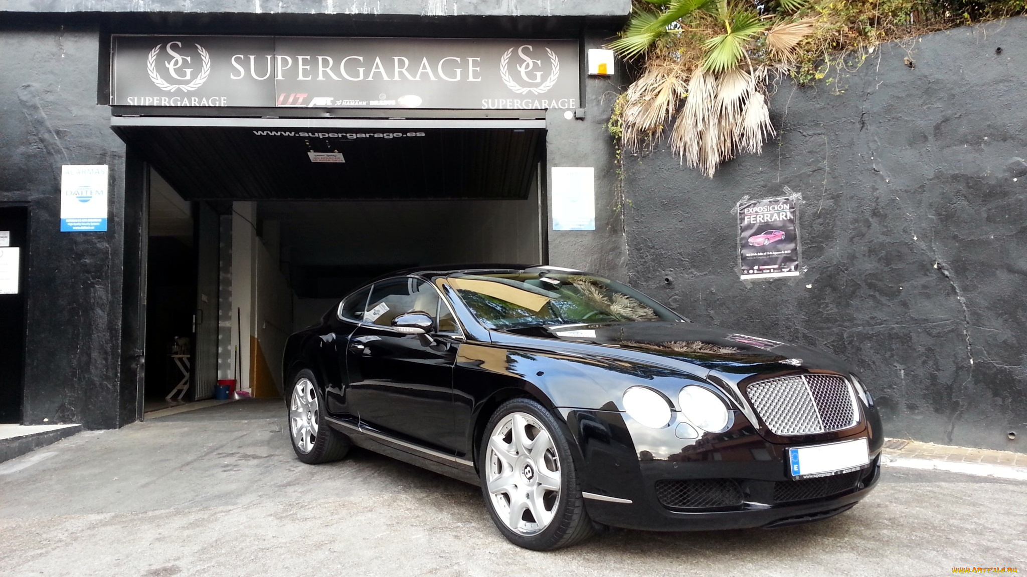 bentley, continental, gt, автомобили, элитные, великобритания, motors, премиум-класс