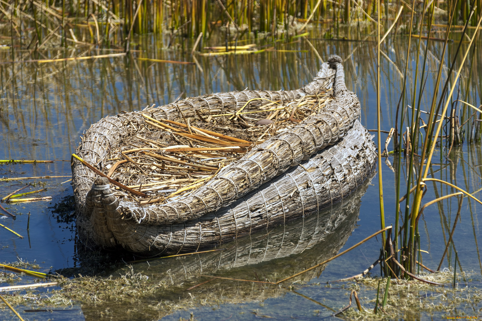корабли, лодки, , шлюпки, лодка, камышовая