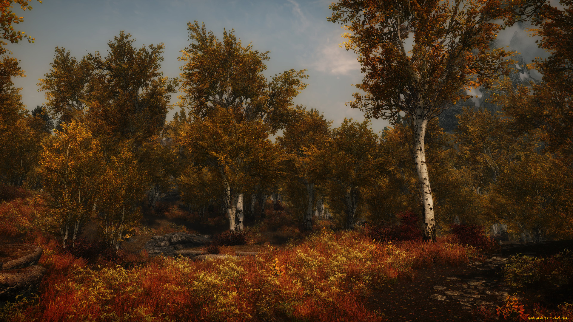 3д, графика, природа, , nature, поляна, лес