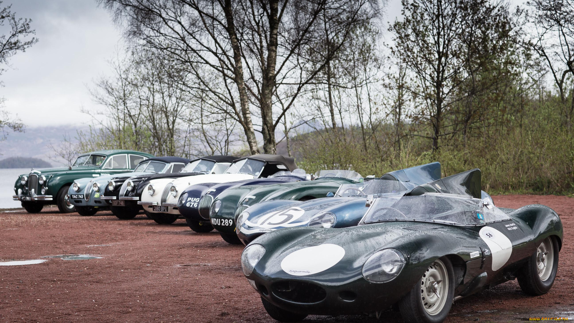 автомобили, jaguar