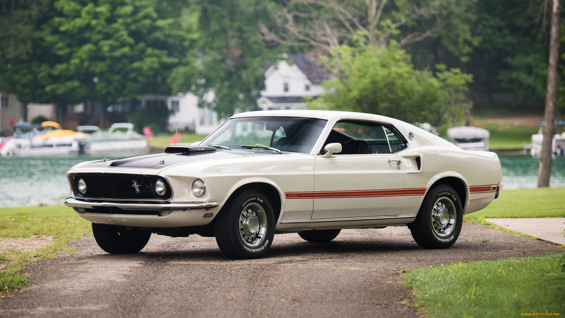 автомобили, mustang