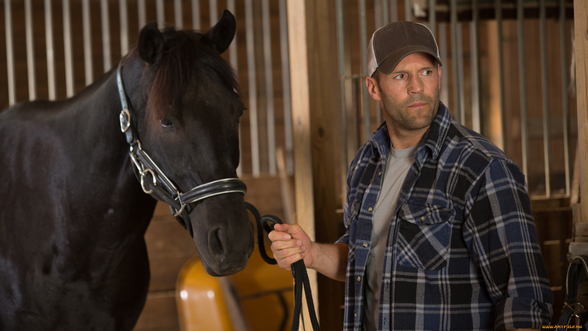 homefront, кино, фильмы, jason, statham, последний, рубеж, кадр, лошадь, кепка