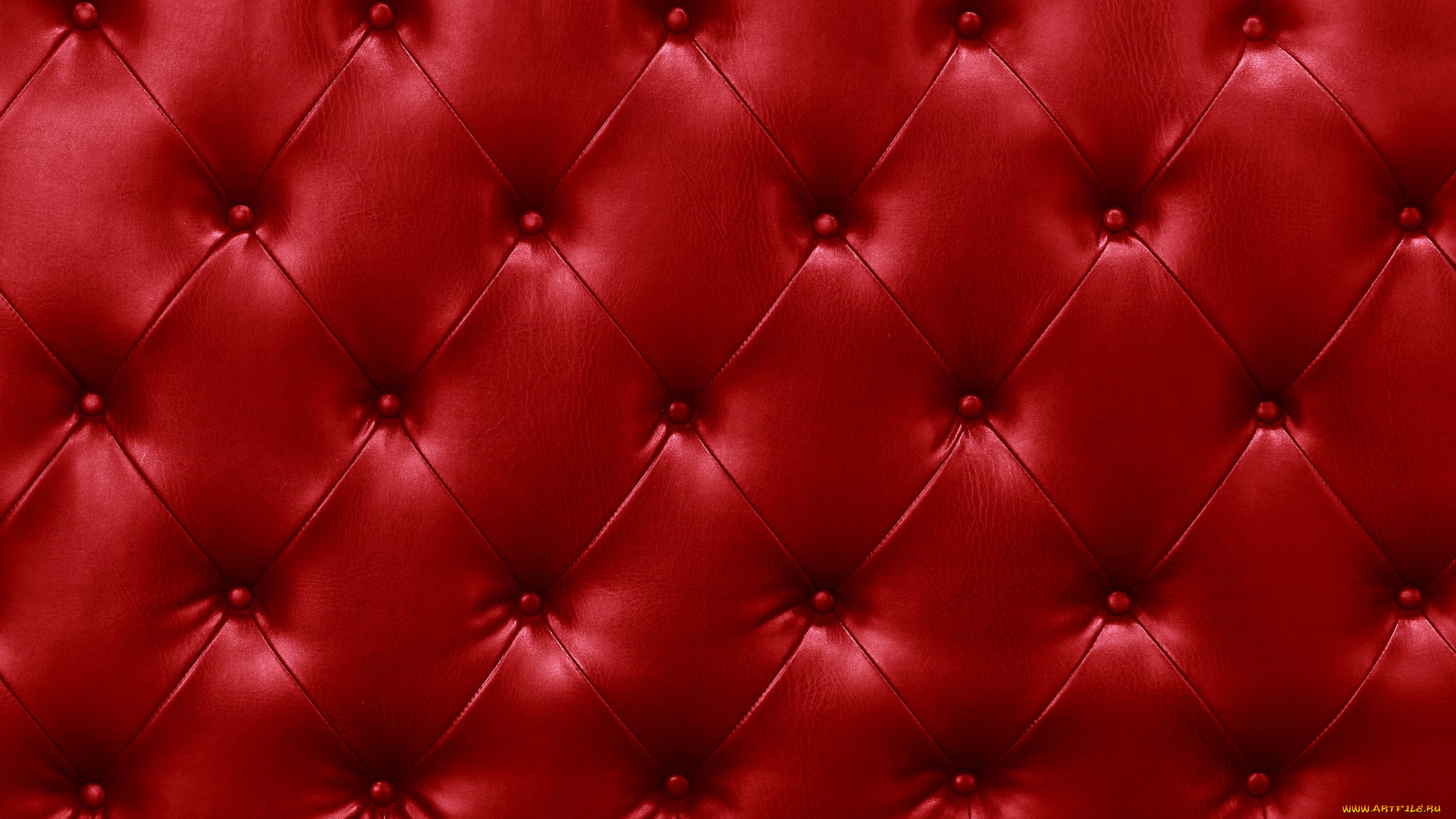 разное, текстуры, leather, кожа, texture, upholstery, skin, обивка