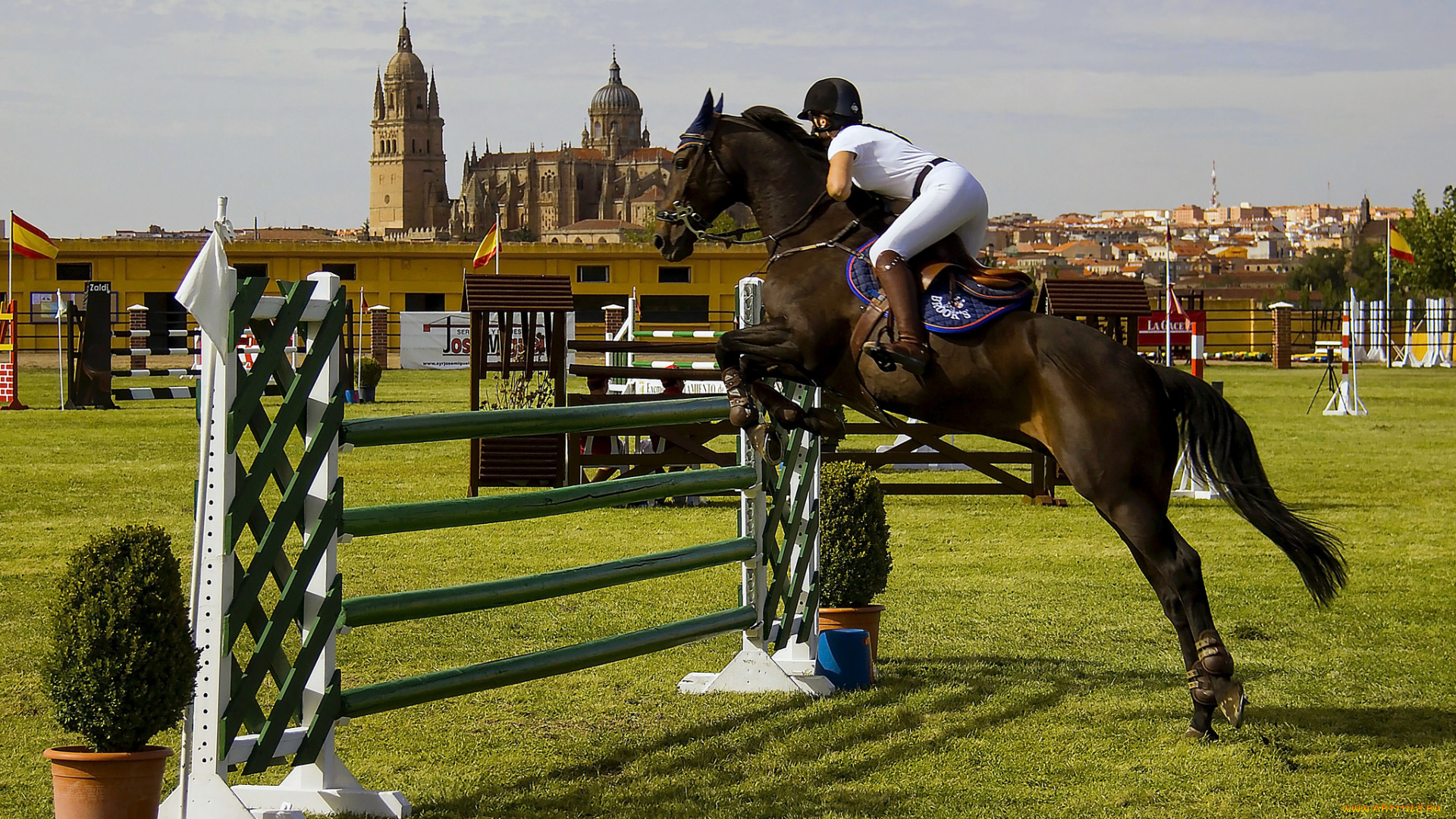 спорт, конный, спорт, лошадь, ипподром, жокей, скачки