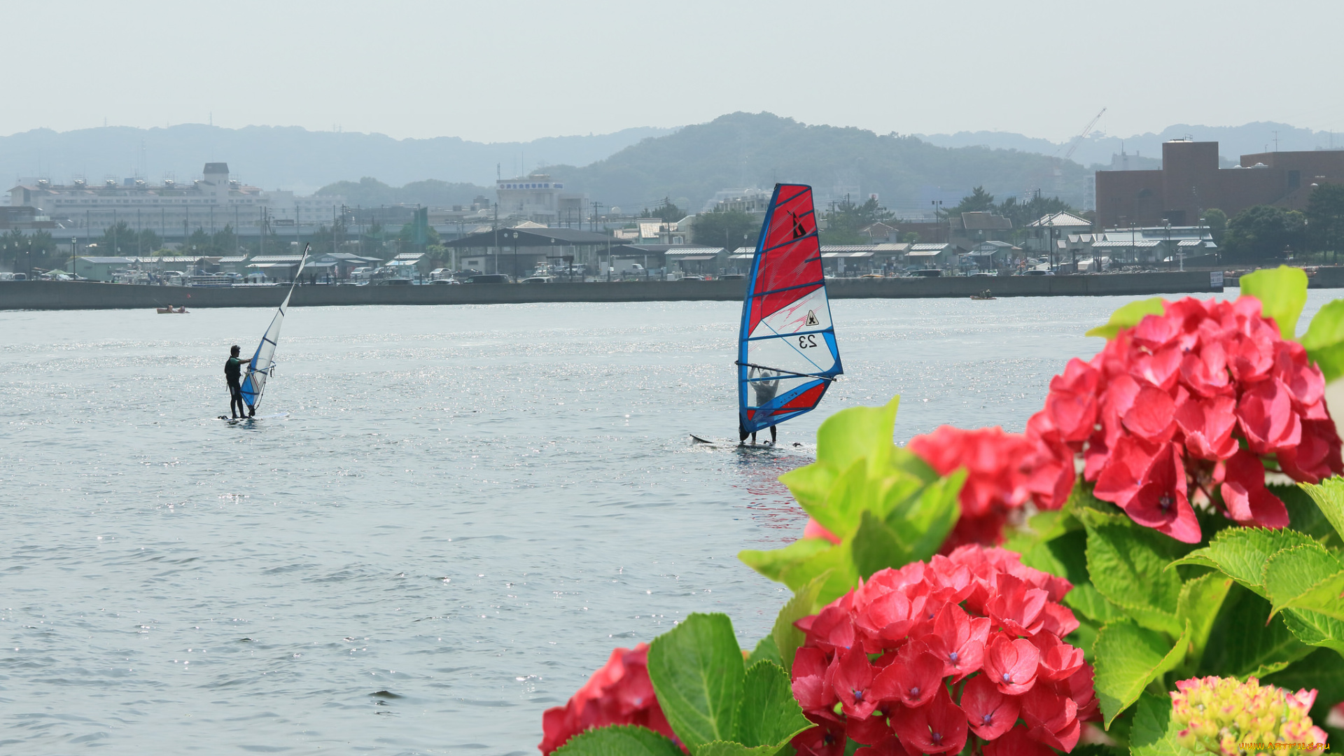 спорт, водный, спорт, море, гортенхия