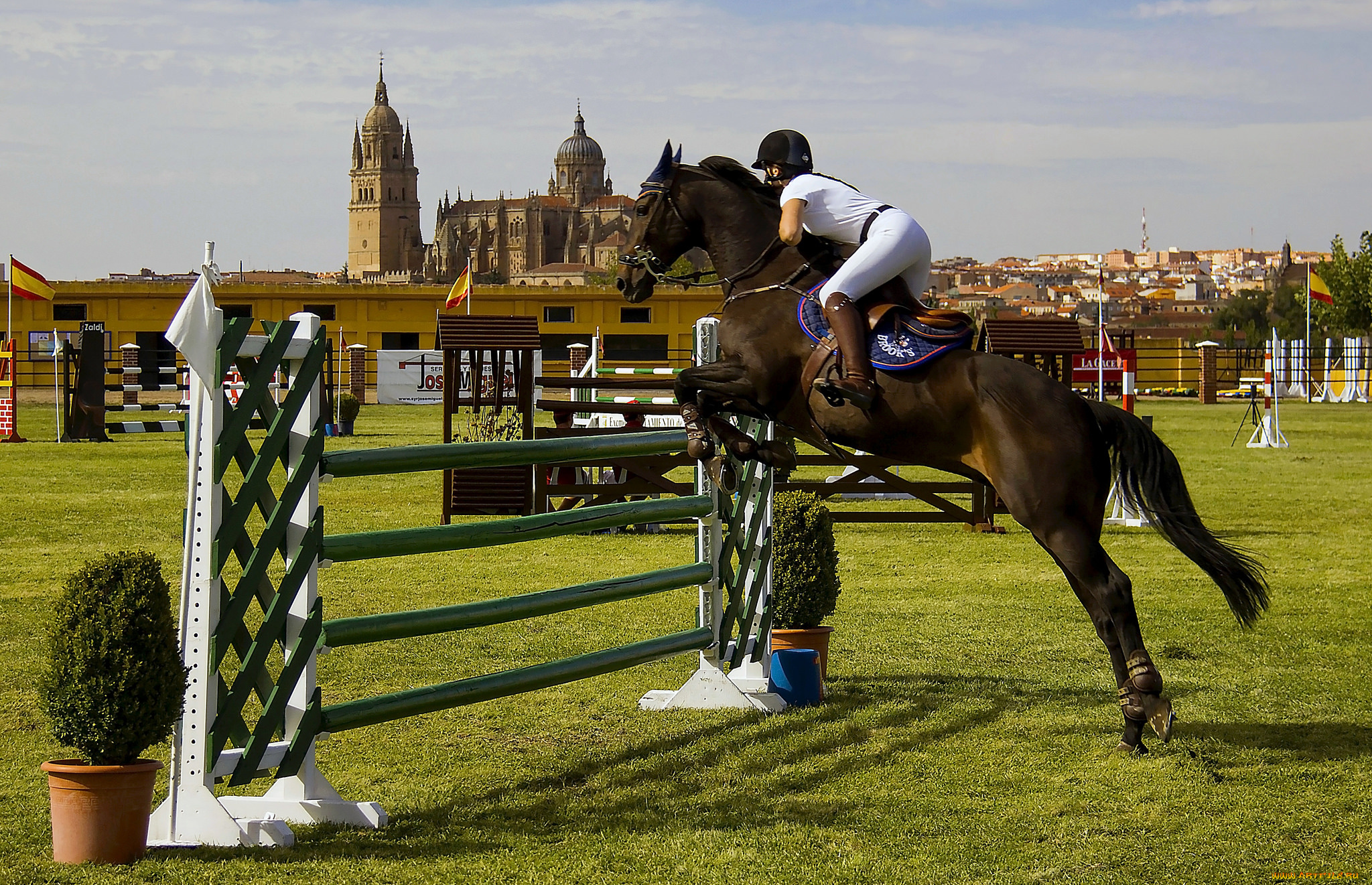 спорт, конный, спорт, лошадь, ипподром, жокей, скачки