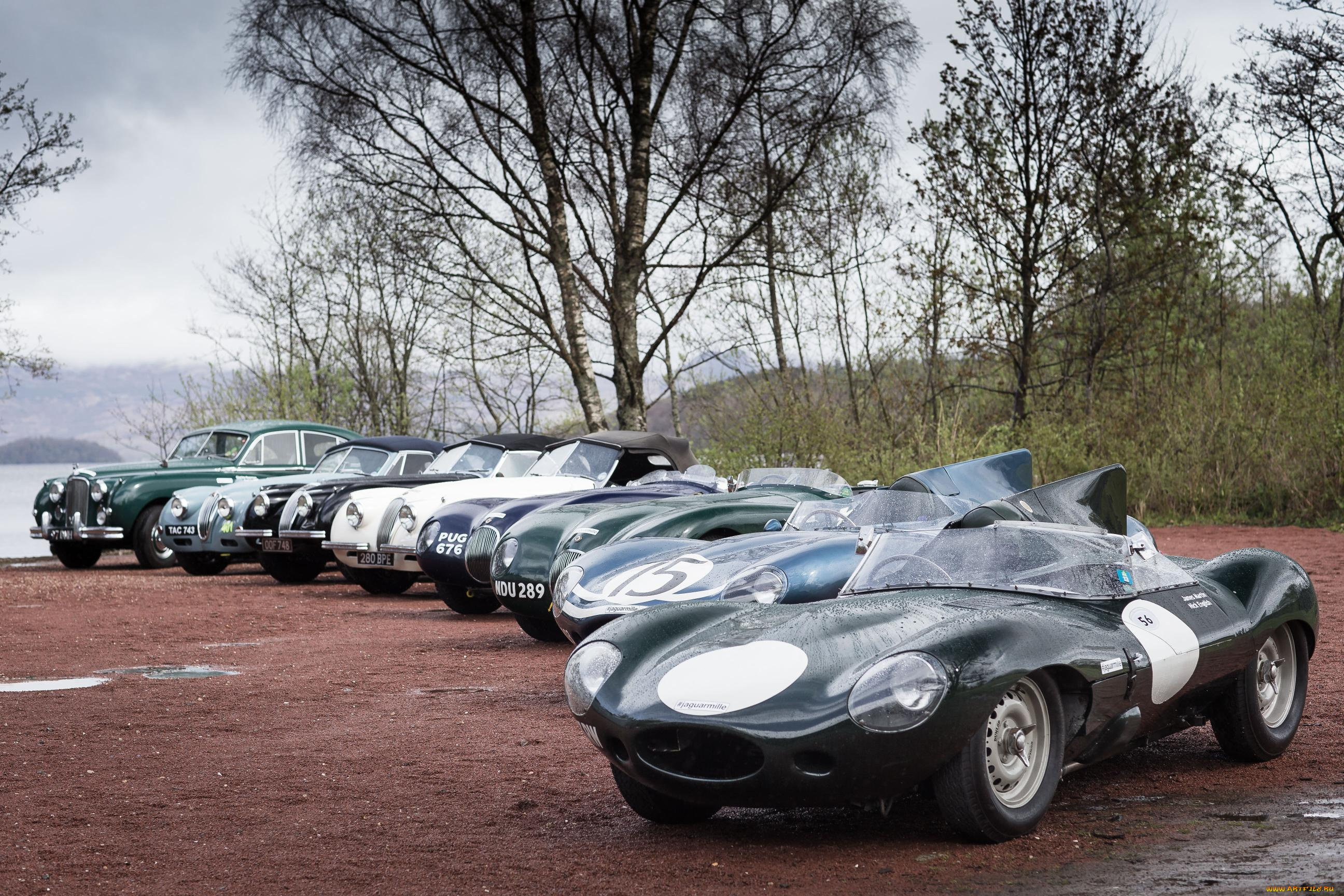 автомобили, jaguar