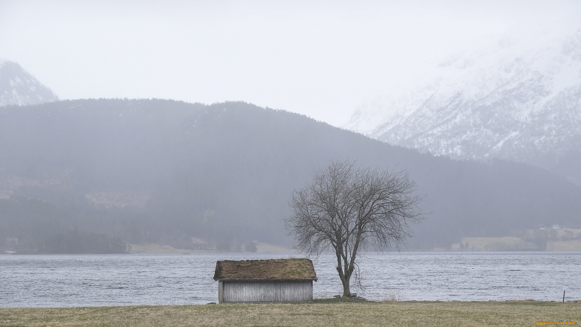 природа, пейзажи, домик, горы, озеро, дерево