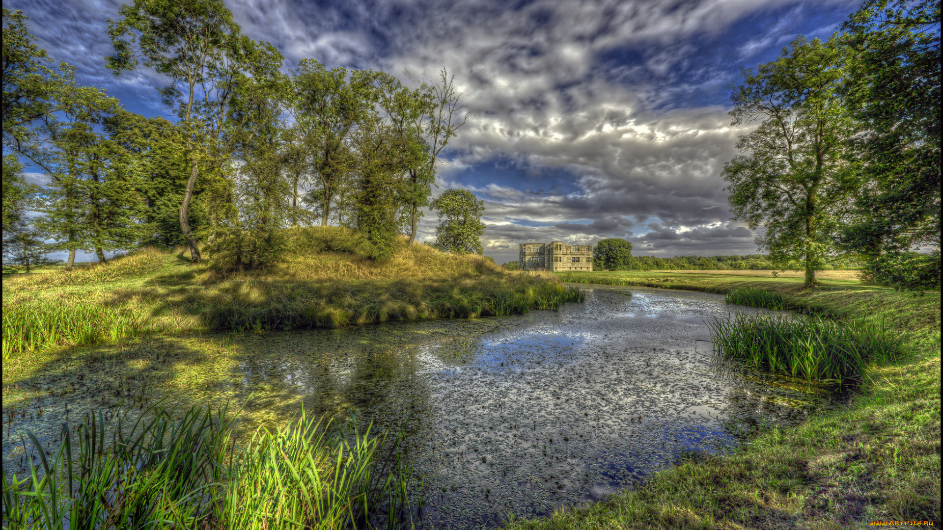 природа, реки, озера, река, лес