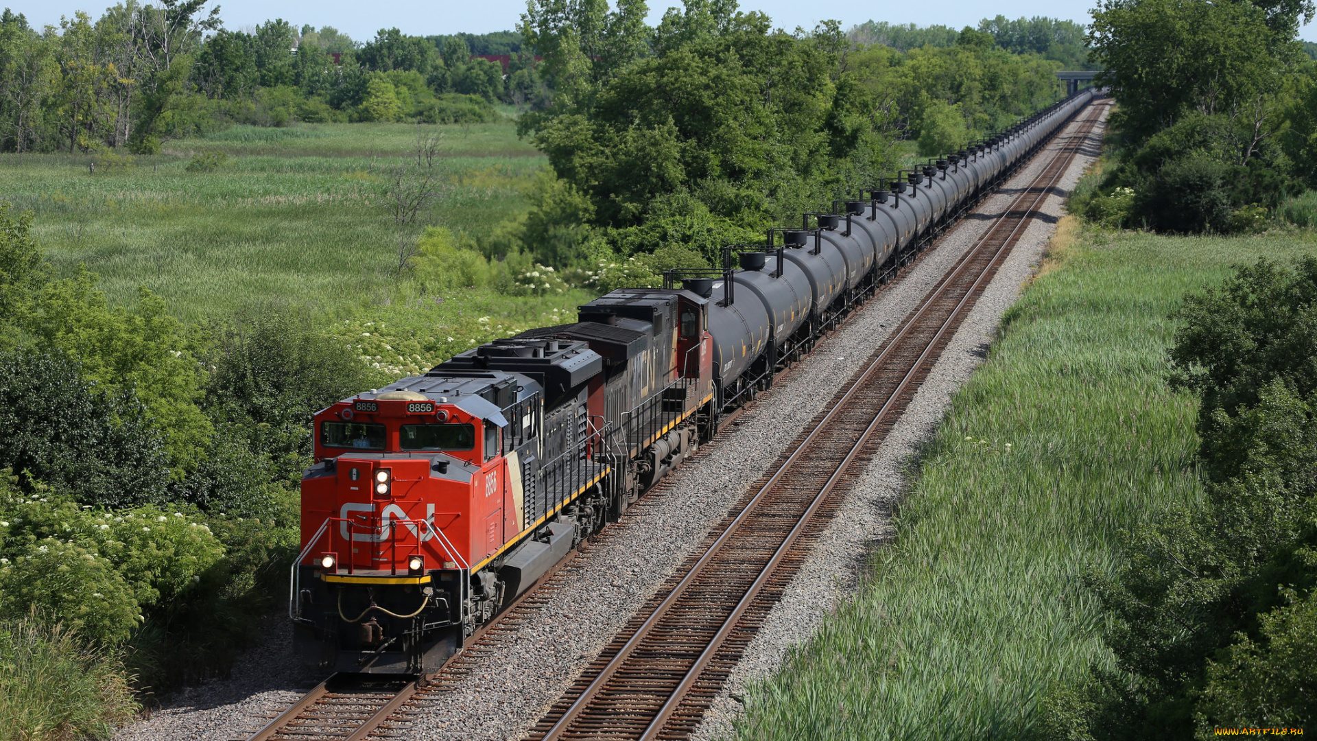 техника, поезда, состав, локомотив, рельсы