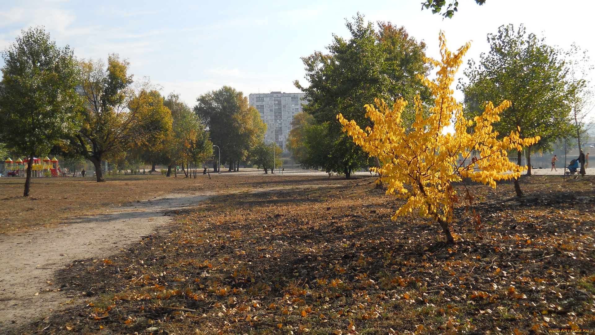 у, озера, тельбин, города, -, панорамы, киев, осень, парк, у, озера, тельбин