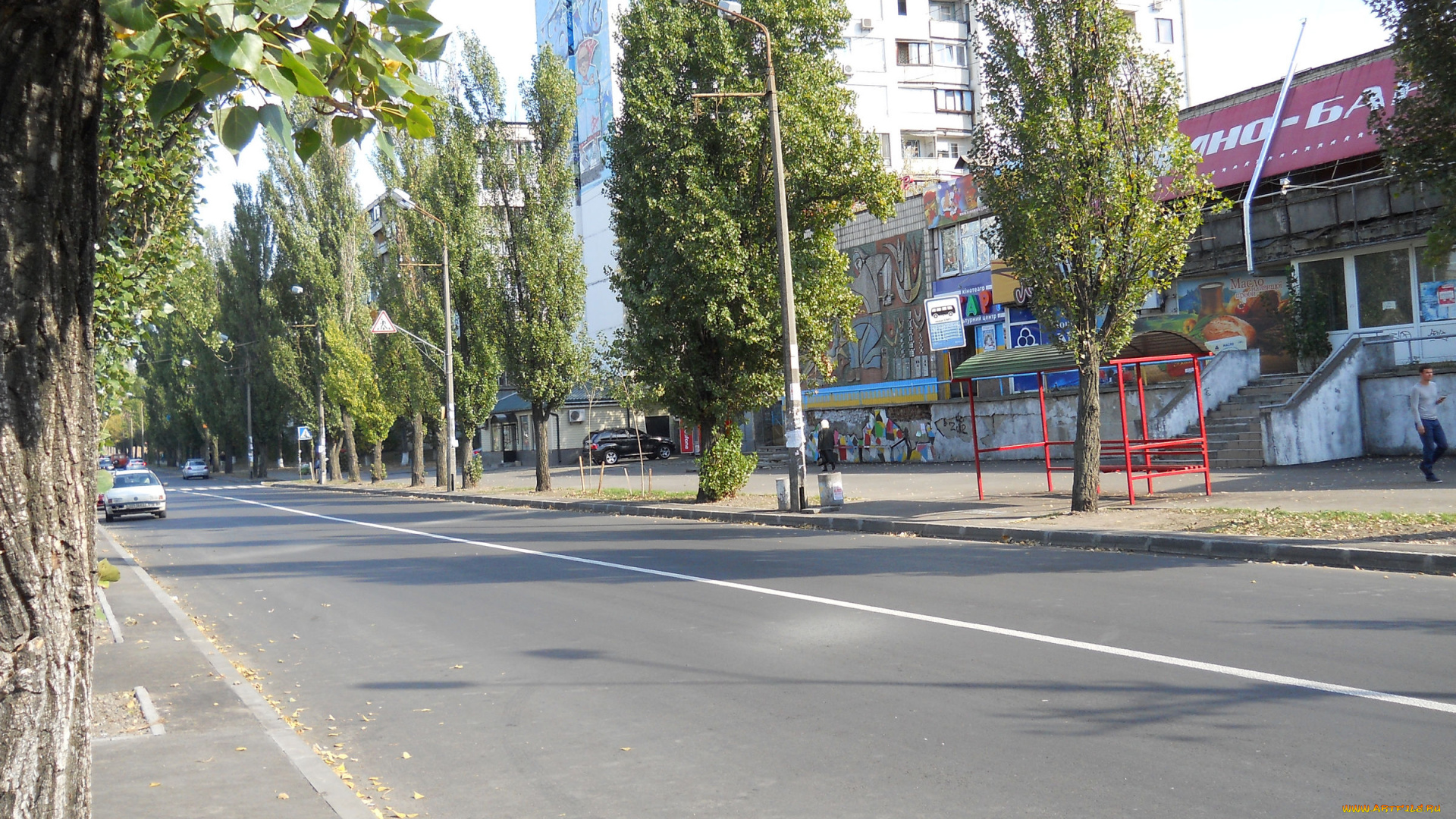 улица, серафимовича, в, киеве, города, киев, , украина, улица, серафимовича, дорога, киев, осень