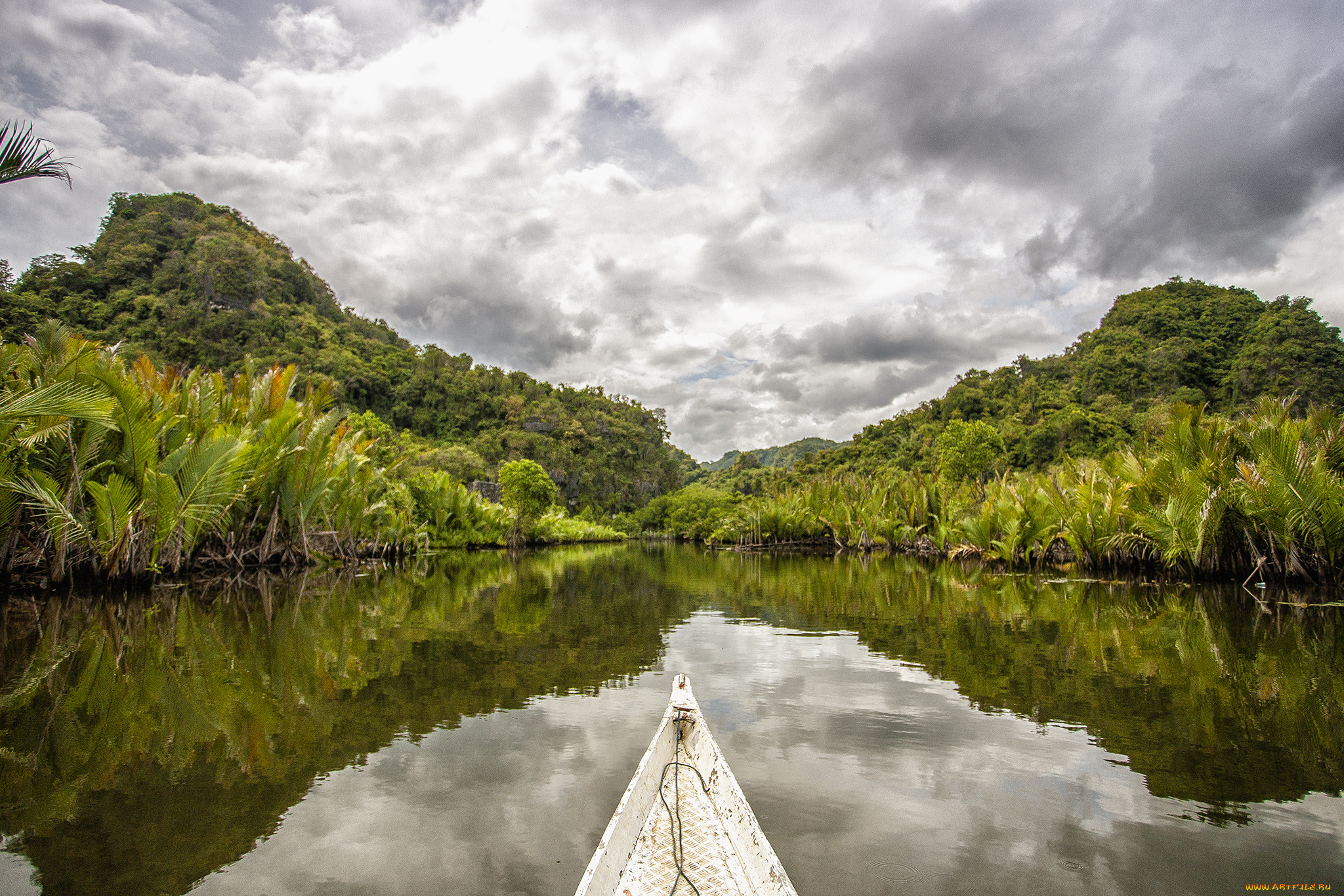 природа, реки, озера, лес, река