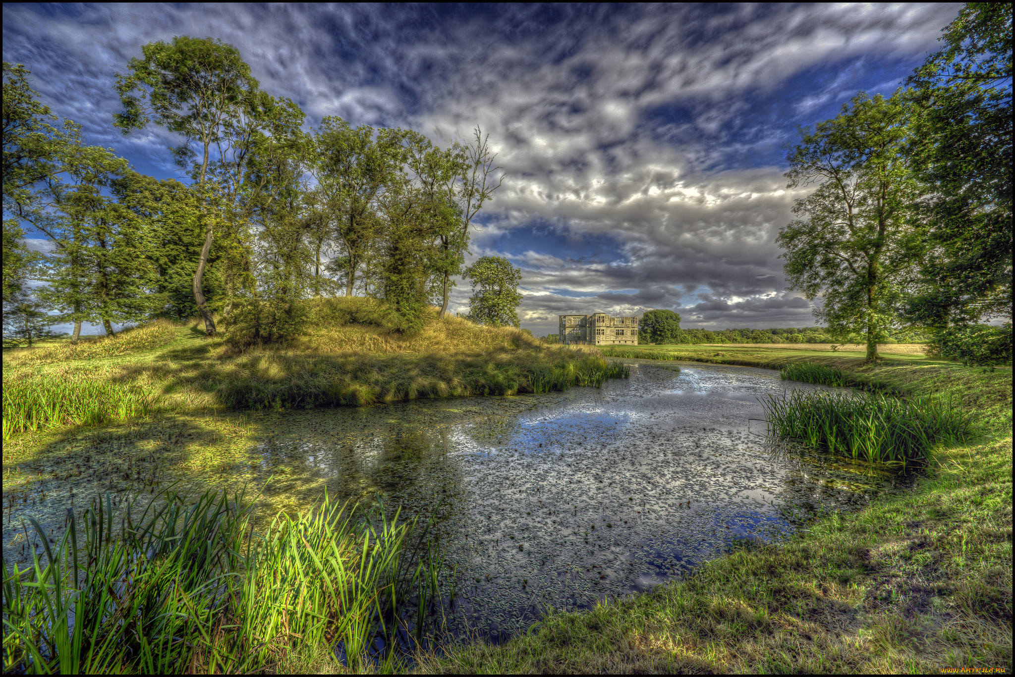 природа, реки, озера, река, лес