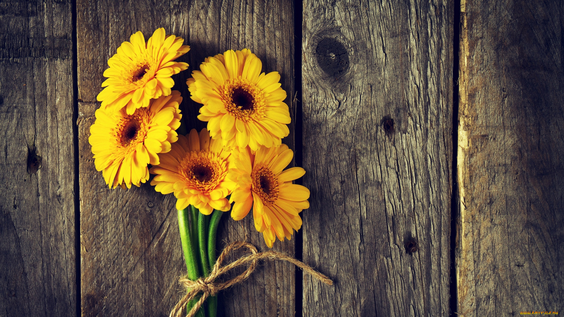 цветы, герберы, гербера, доски, желтые