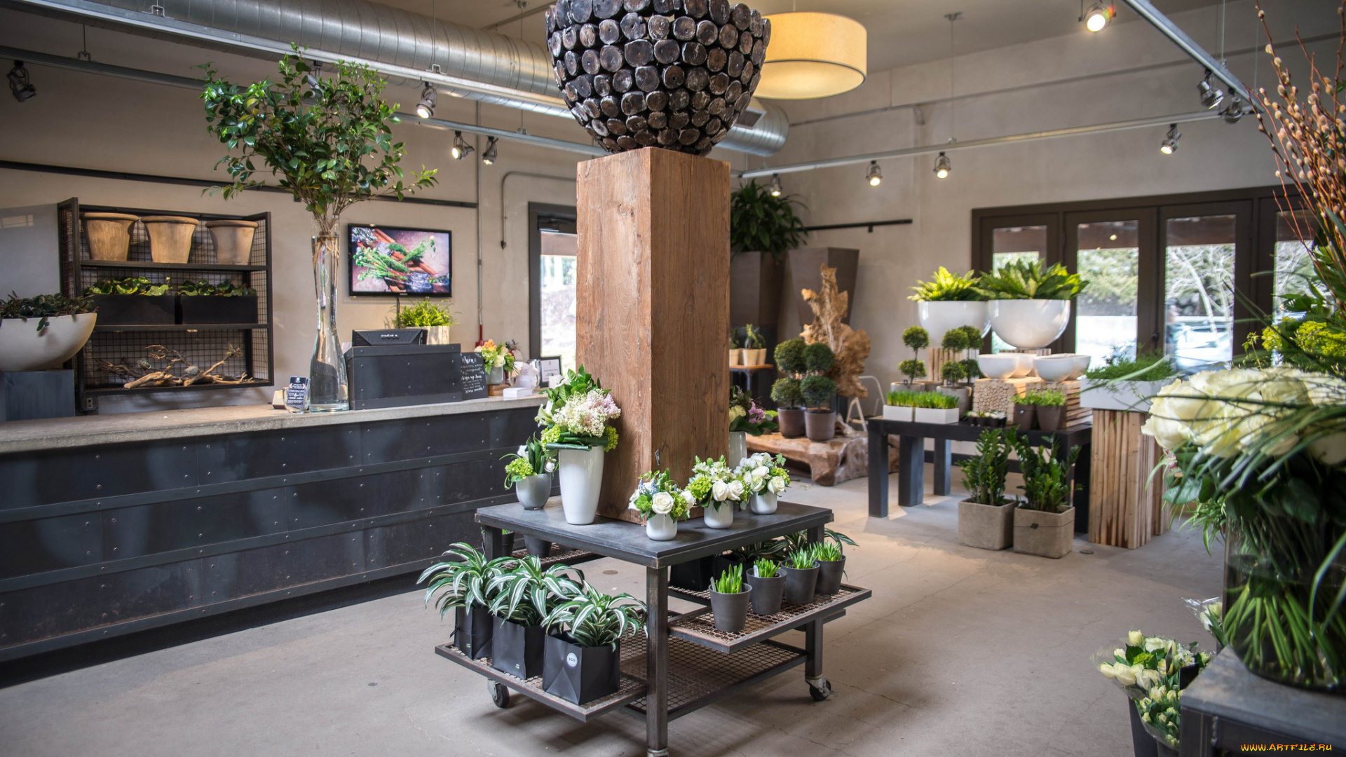 интерьер, -, другое, стиль, дезан, цветы, цветочный, магазин