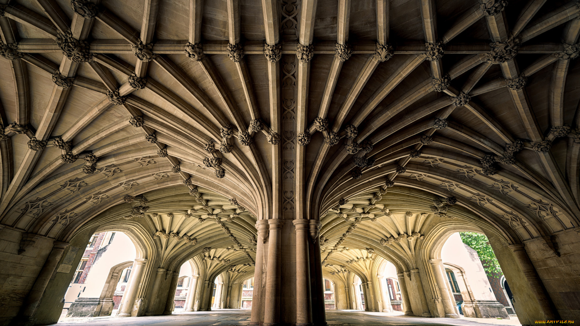 интерьер, -, другое, свод