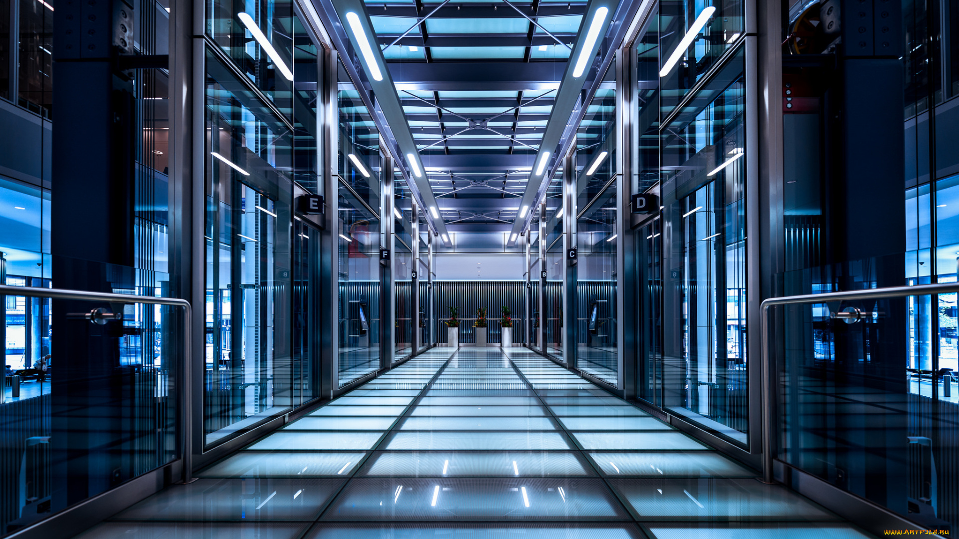 интерьер, холлы, , лестницы, , корридоры, холл