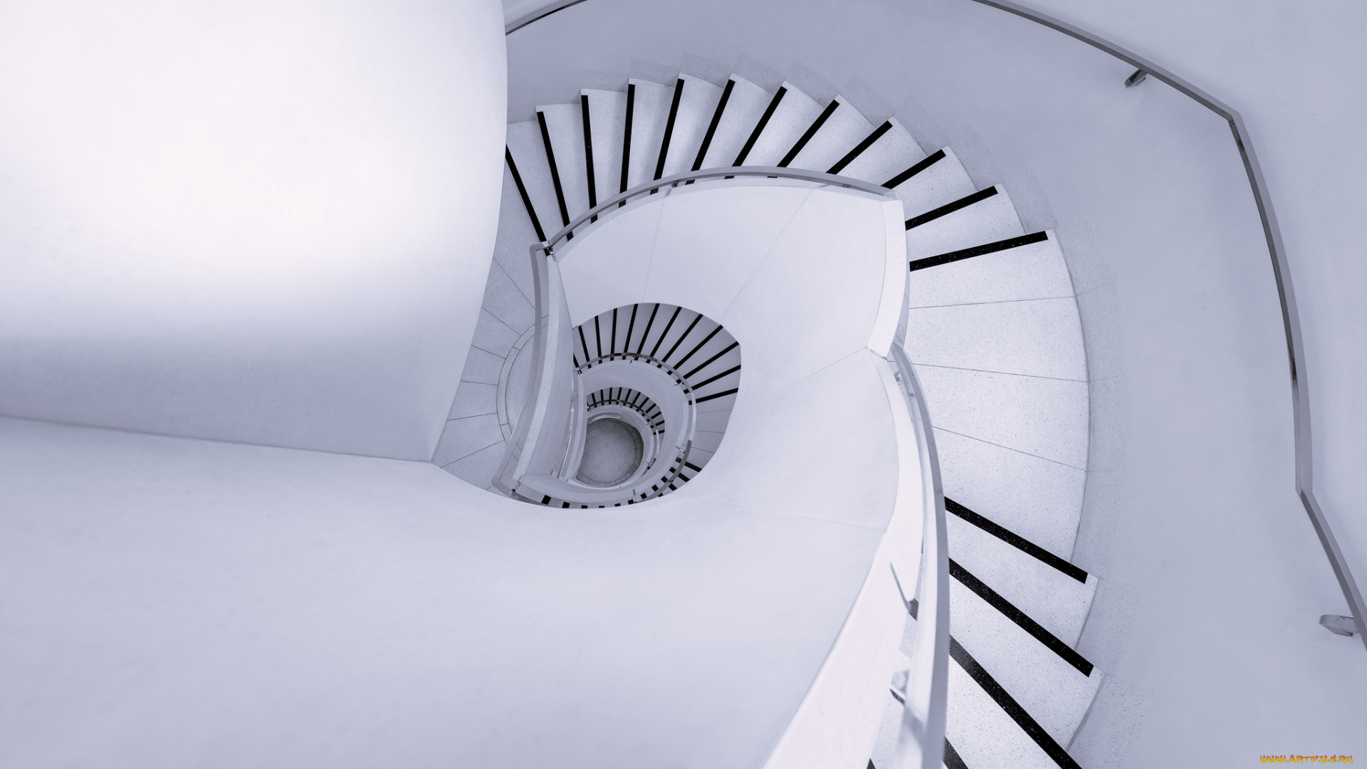 интерьер, холлы, , лестницы, , корридоры, лестница