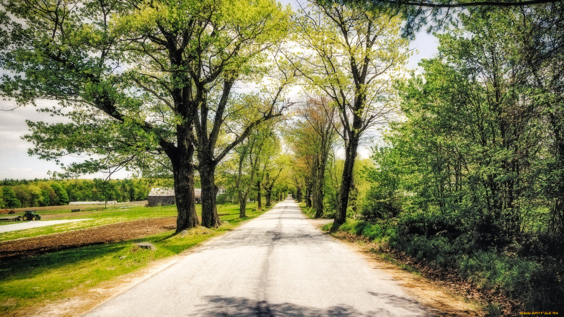 природа, дороги, простор