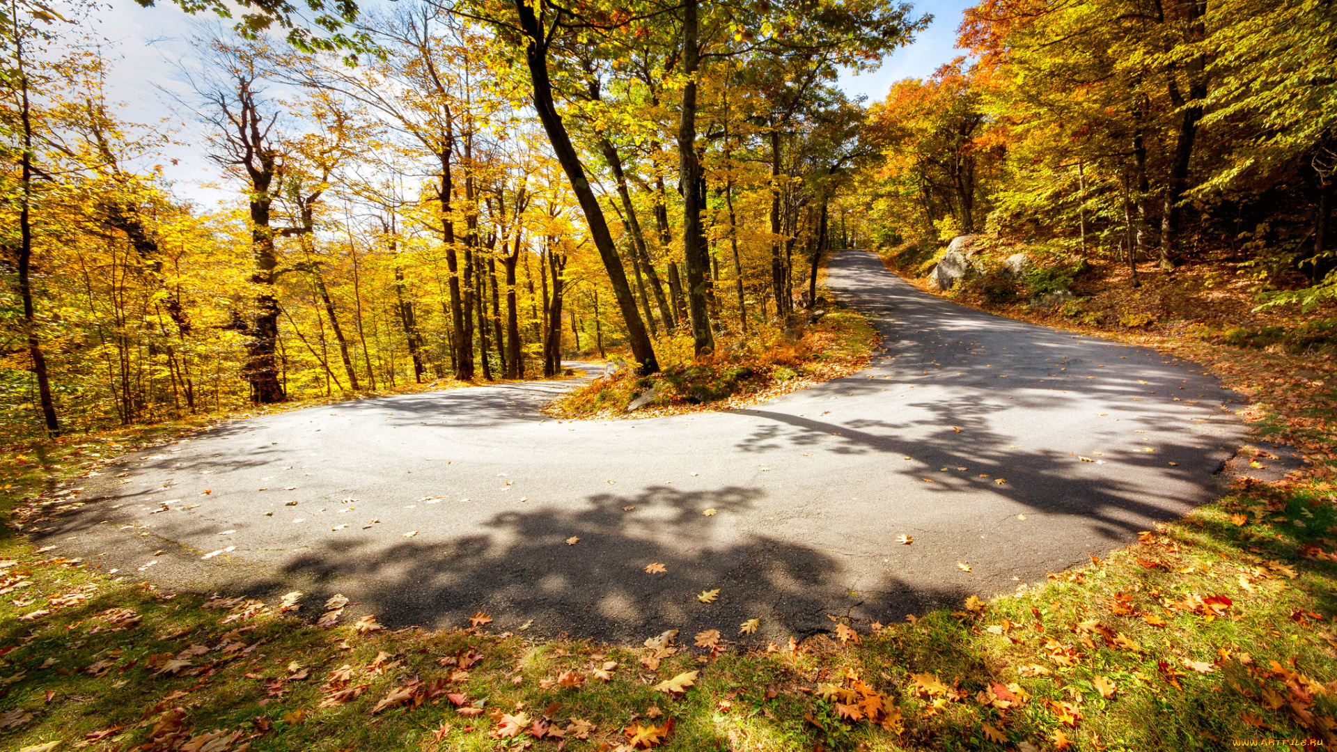 природа, дороги, простор