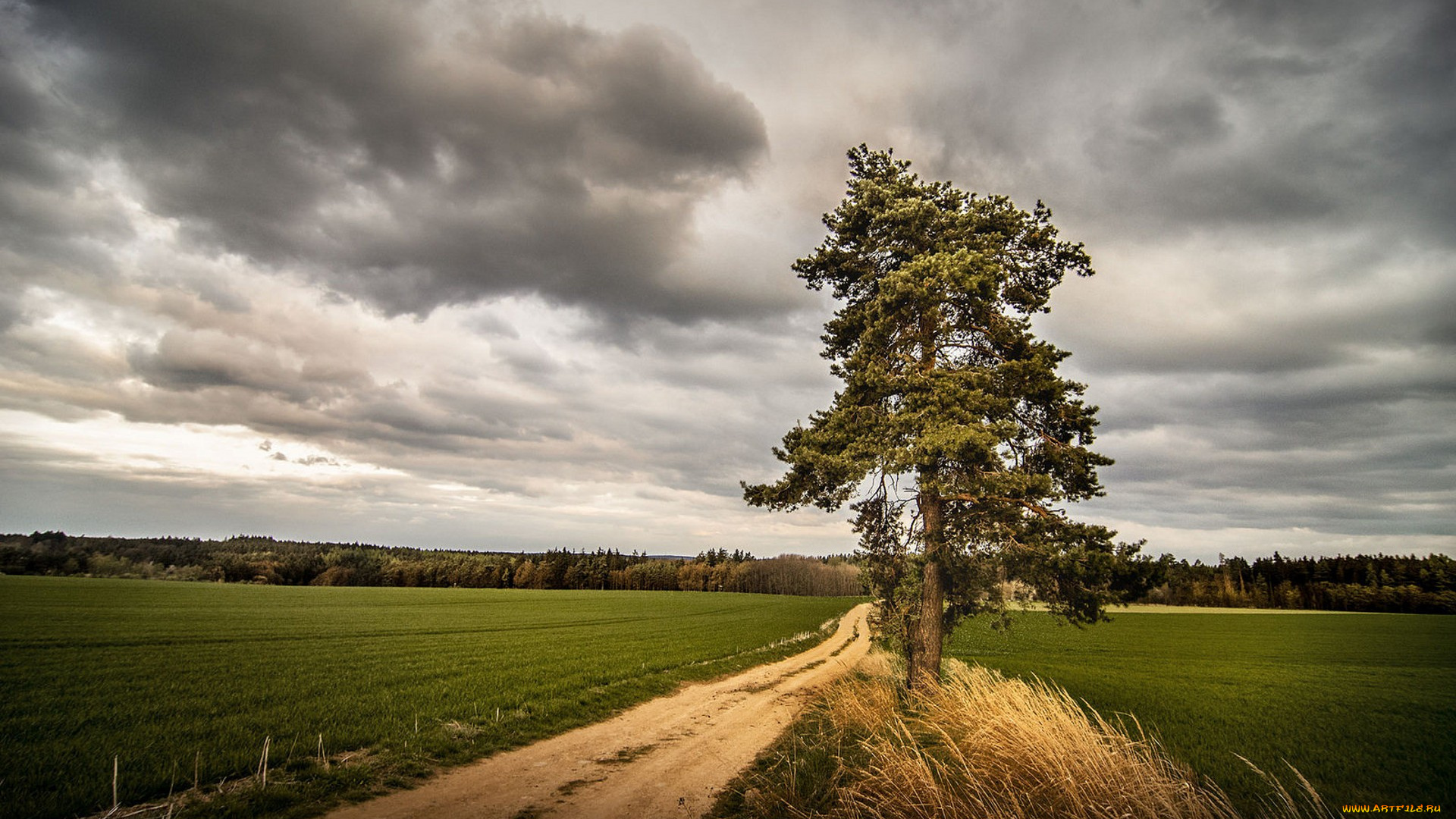 природа, дороги, простор