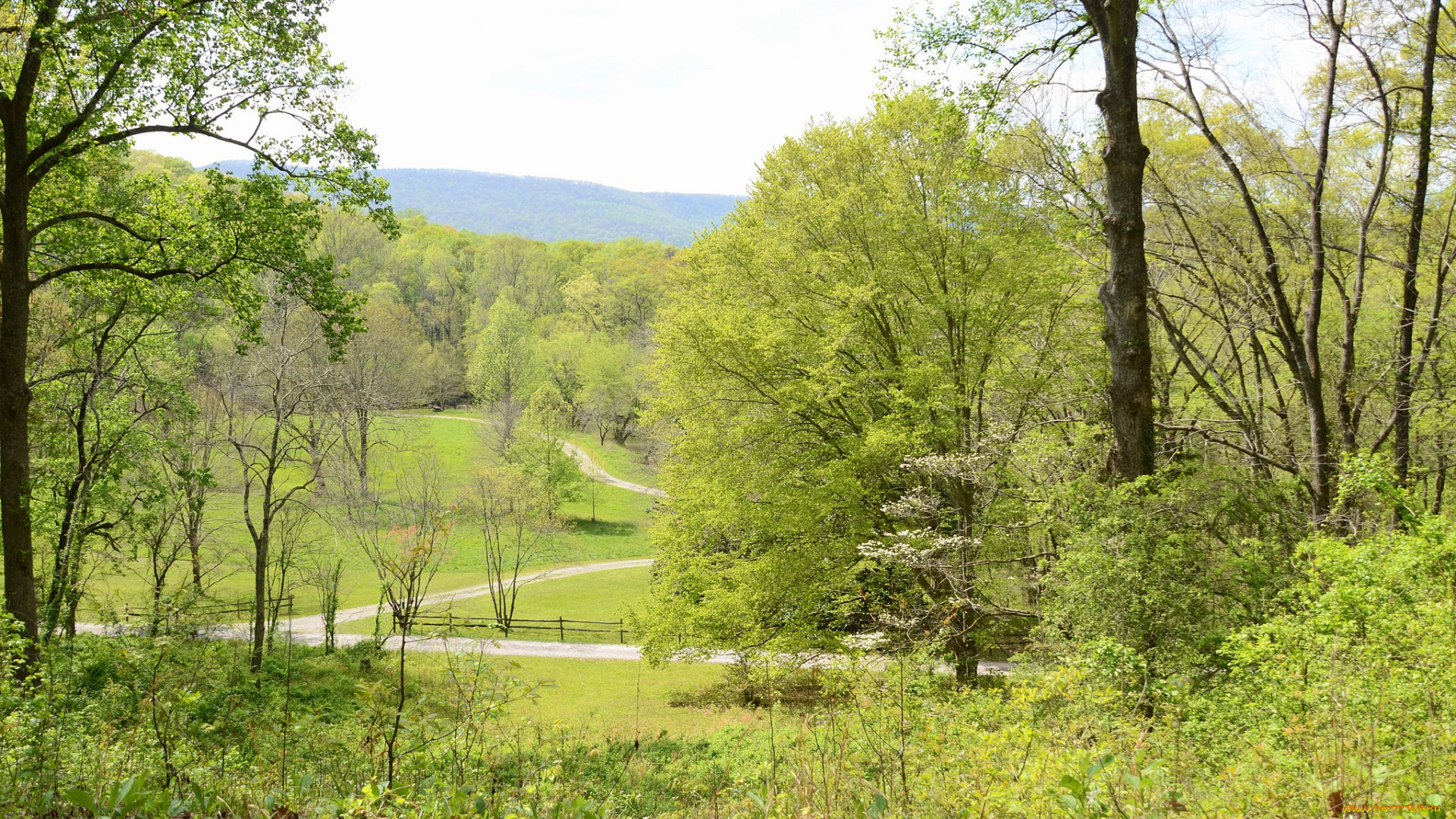 природа, дороги, весна