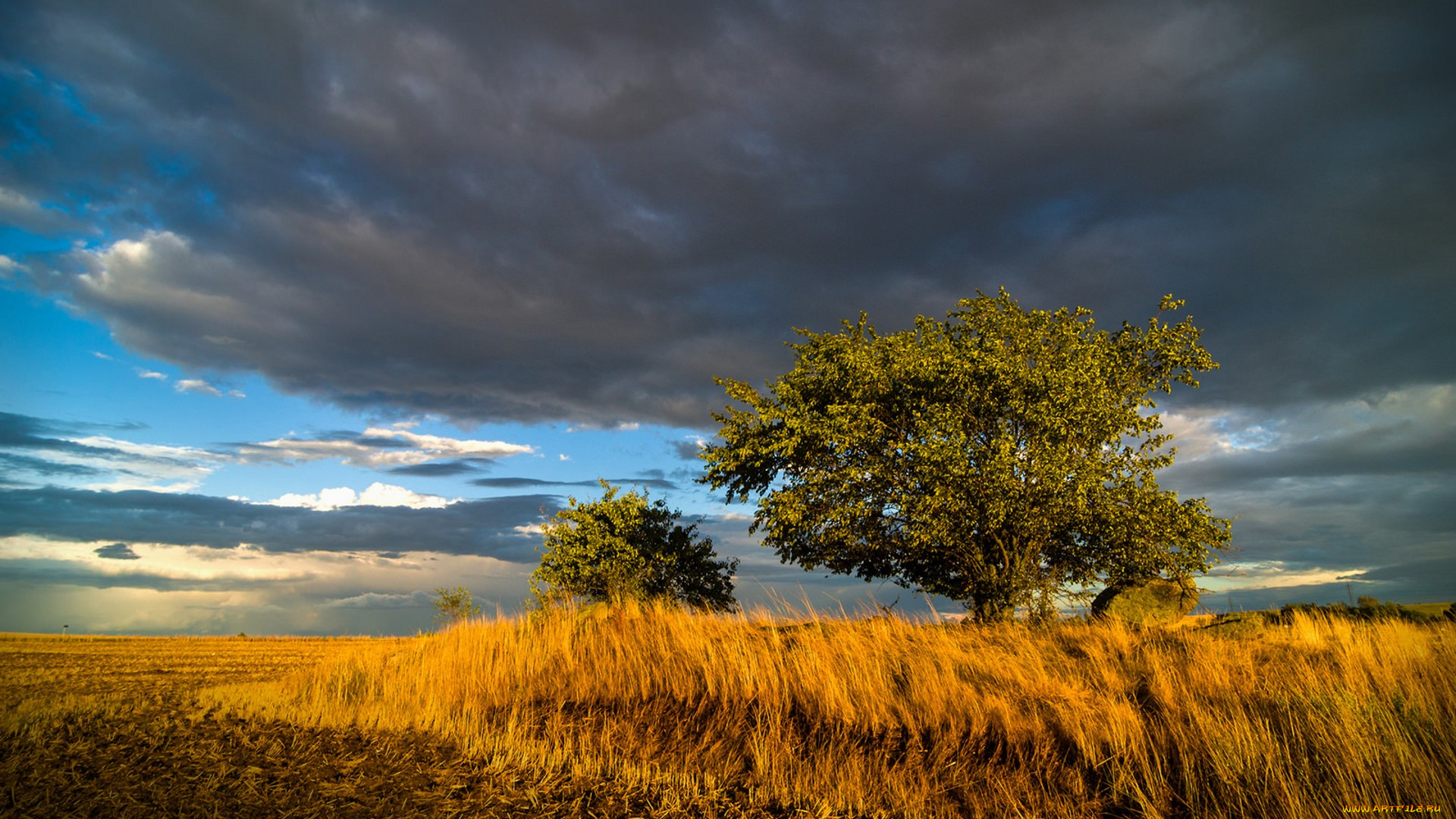 природа, пейзажи, простор