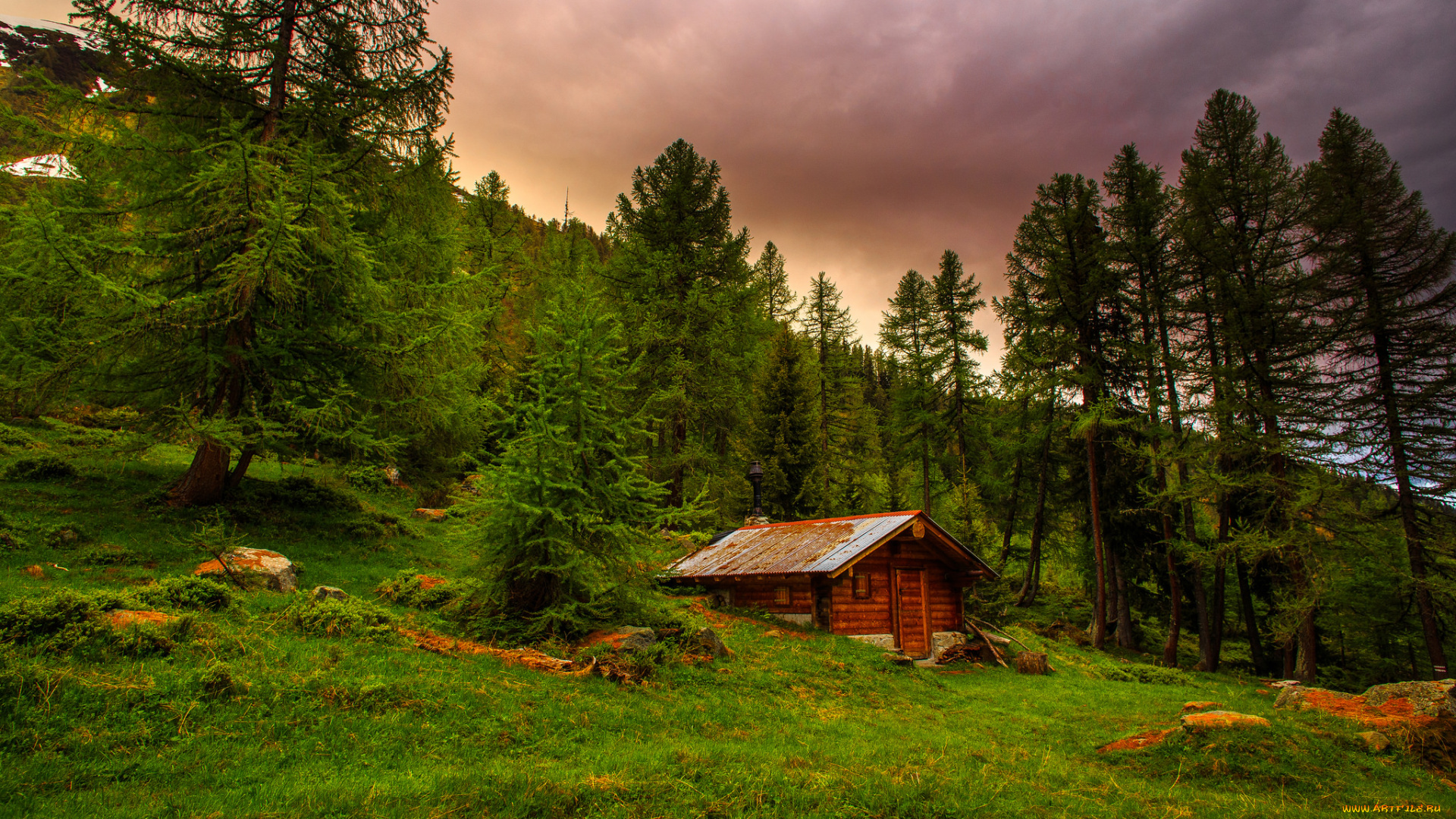 природа, пейзажи, простор