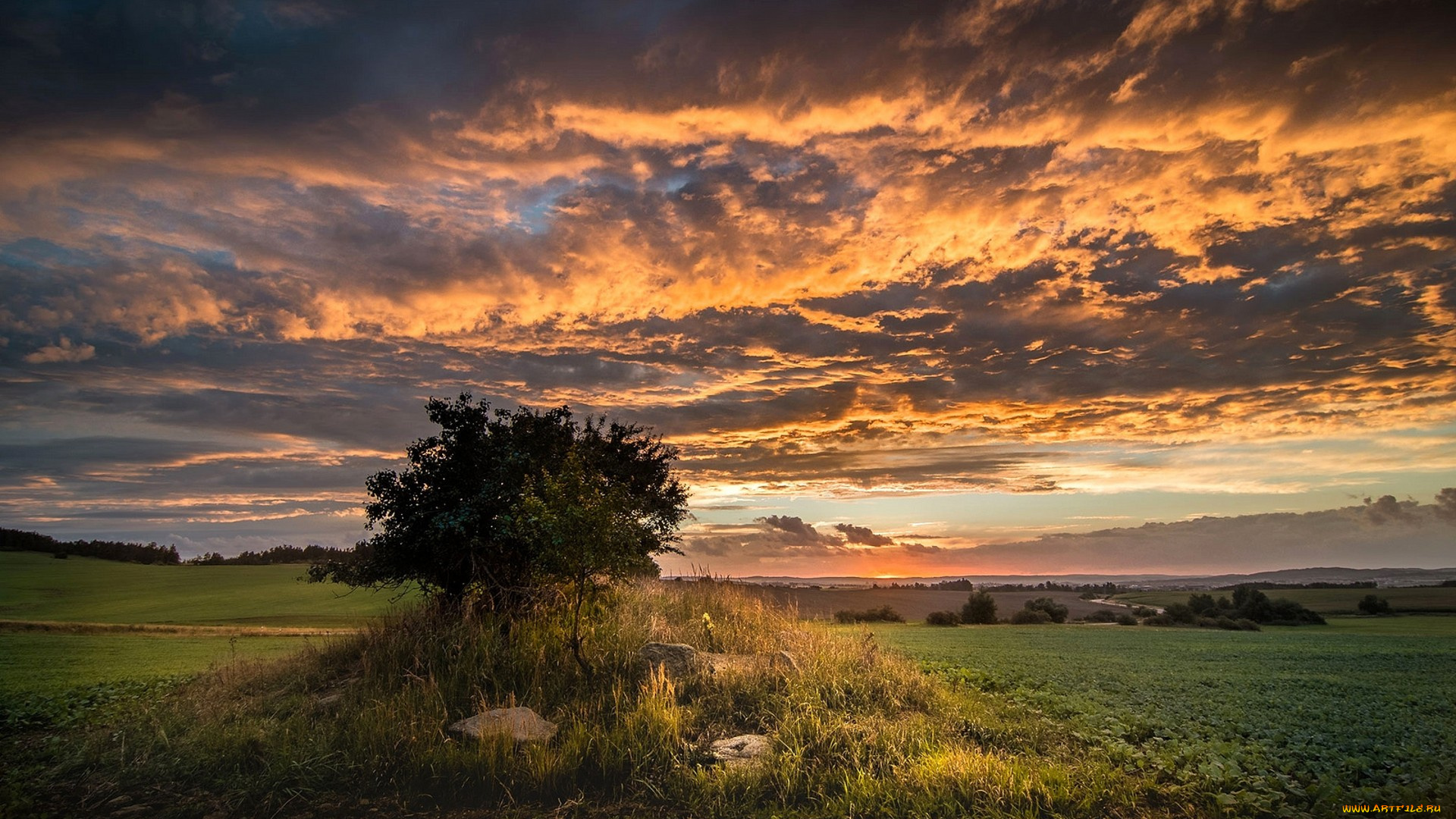 природа, пейзажи, простор