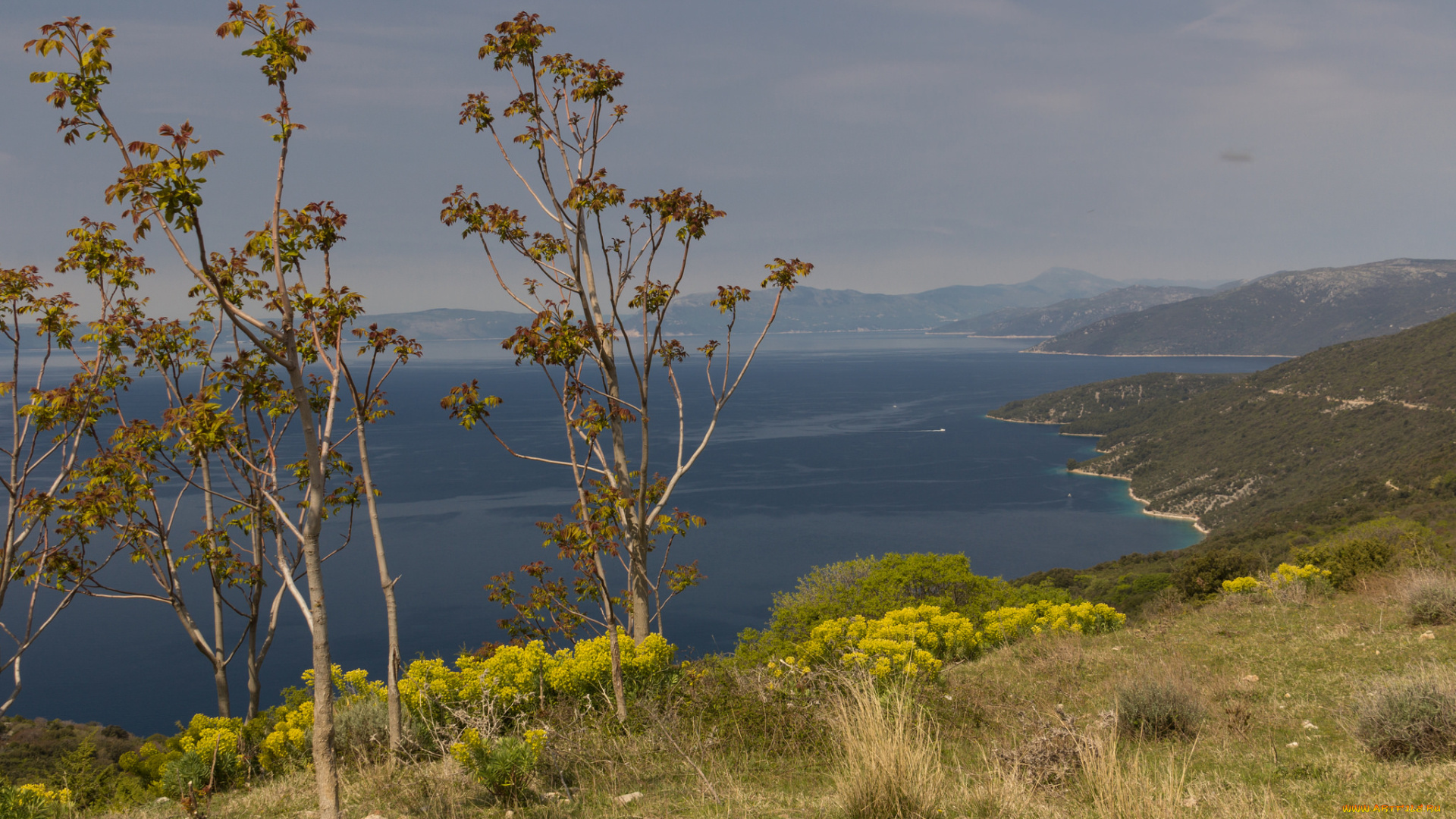 природа, побережье, пейзаж