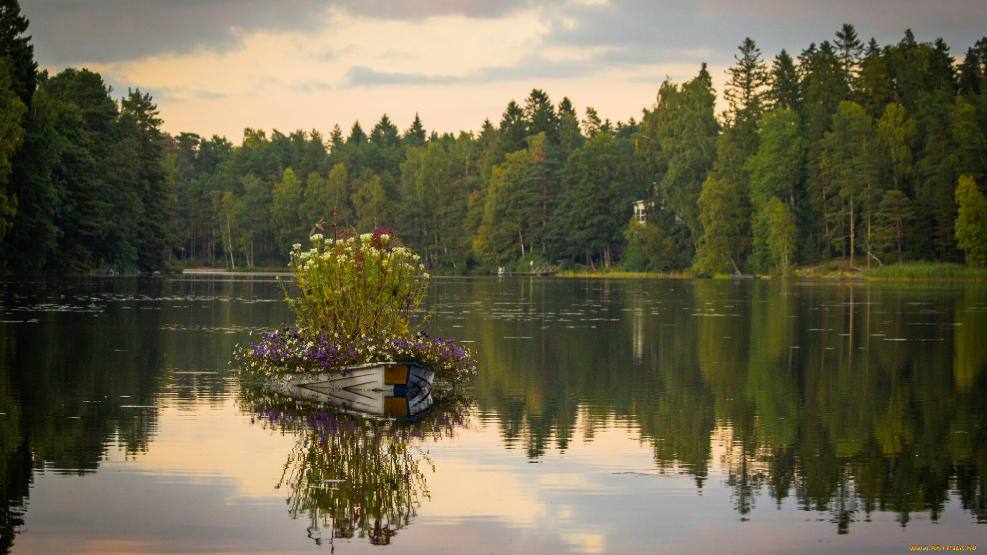 природа, реки, озера, озеро