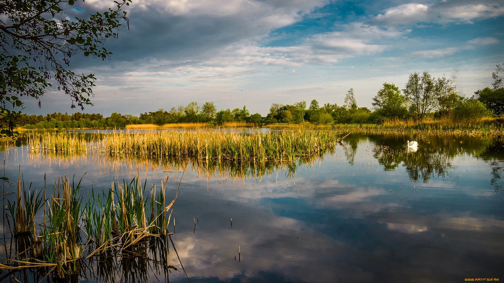 природа, реки, озера, простор