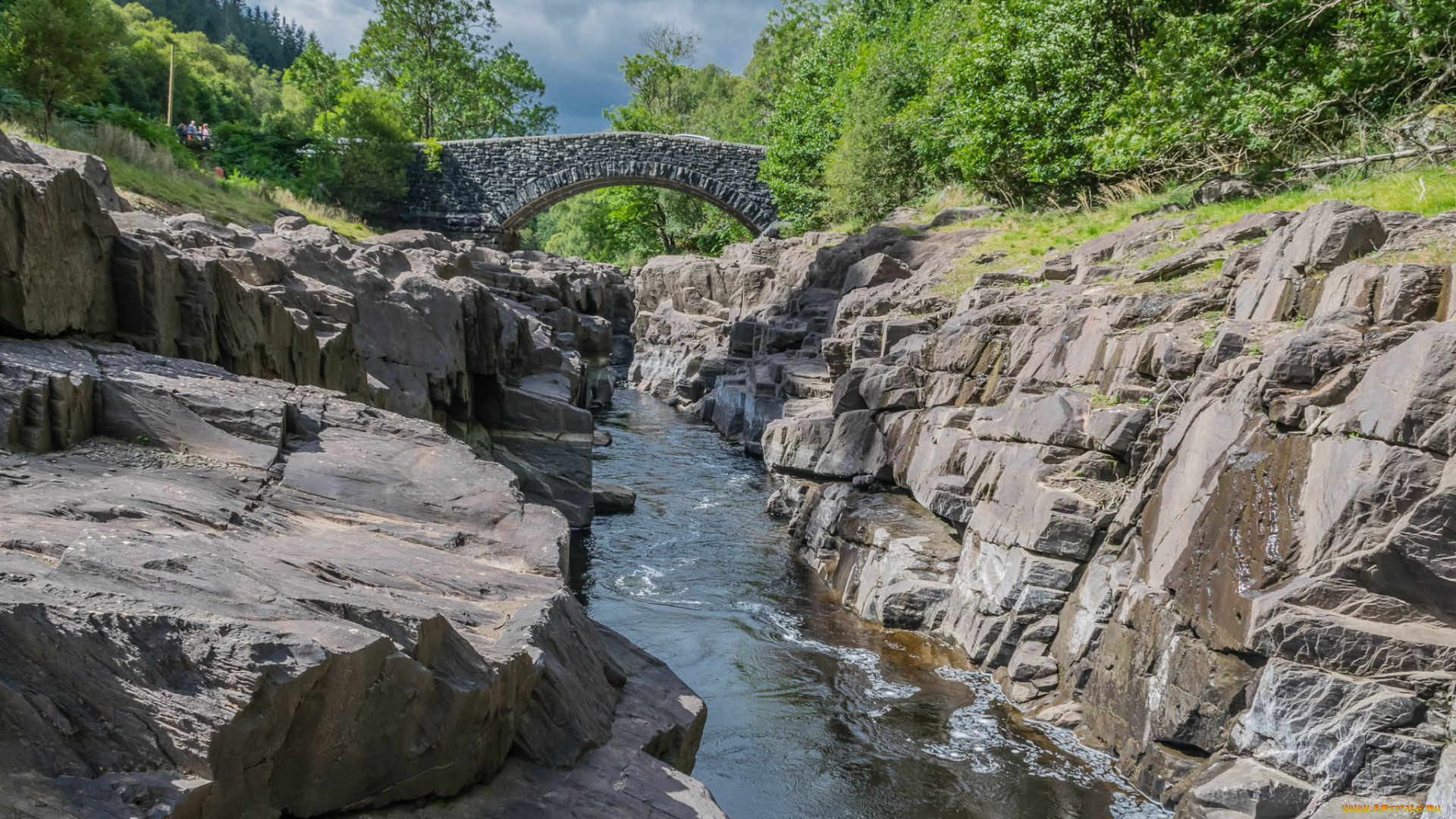 природа, реки, озера, простор