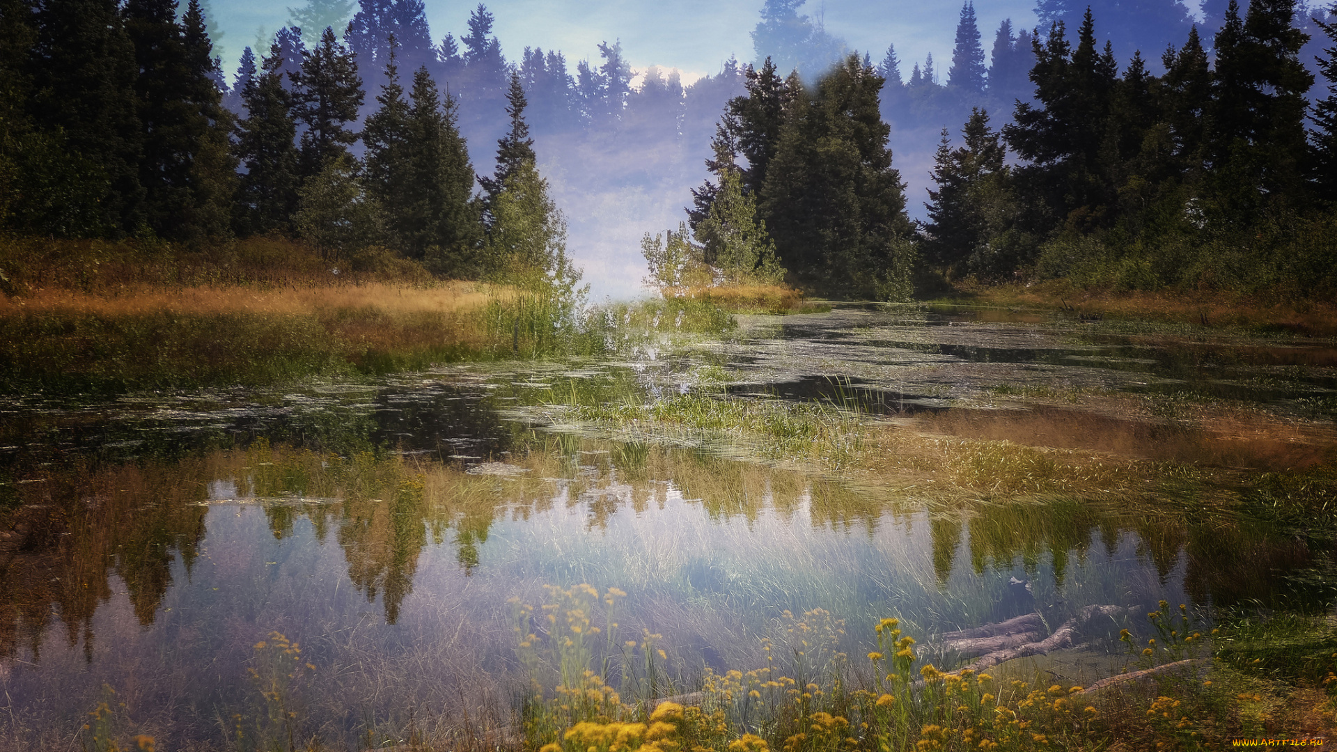 природа, реки, озера, простор