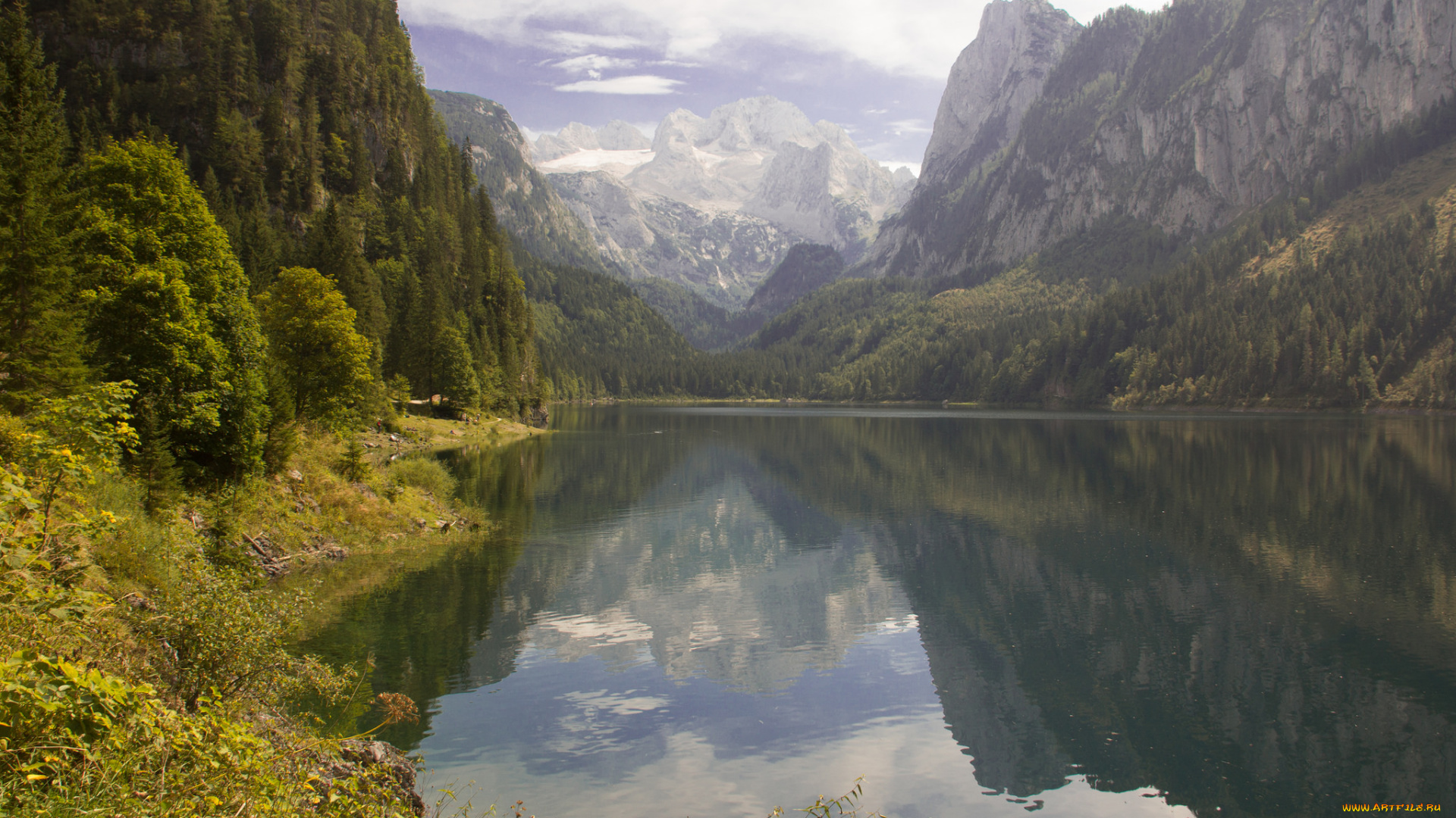 природа, реки, озера, река