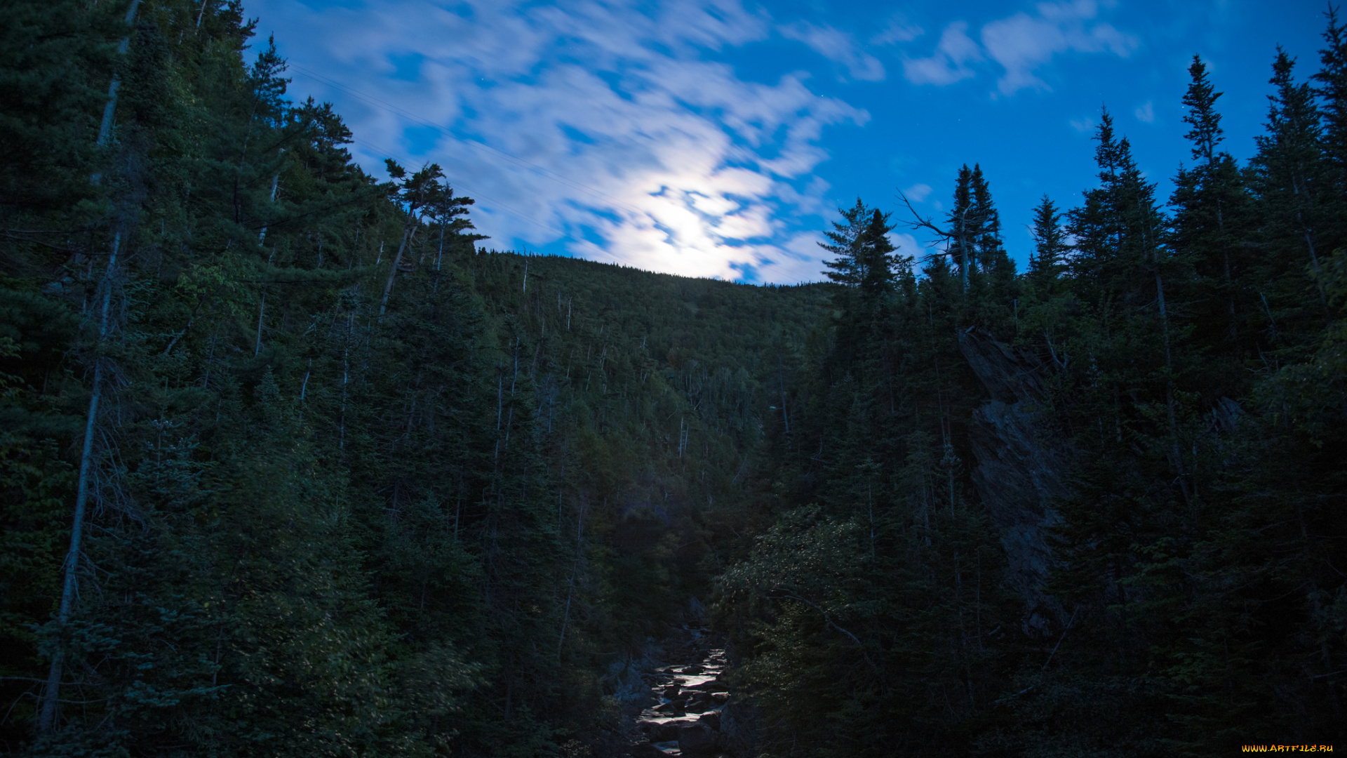 природа, реки, озера, утро