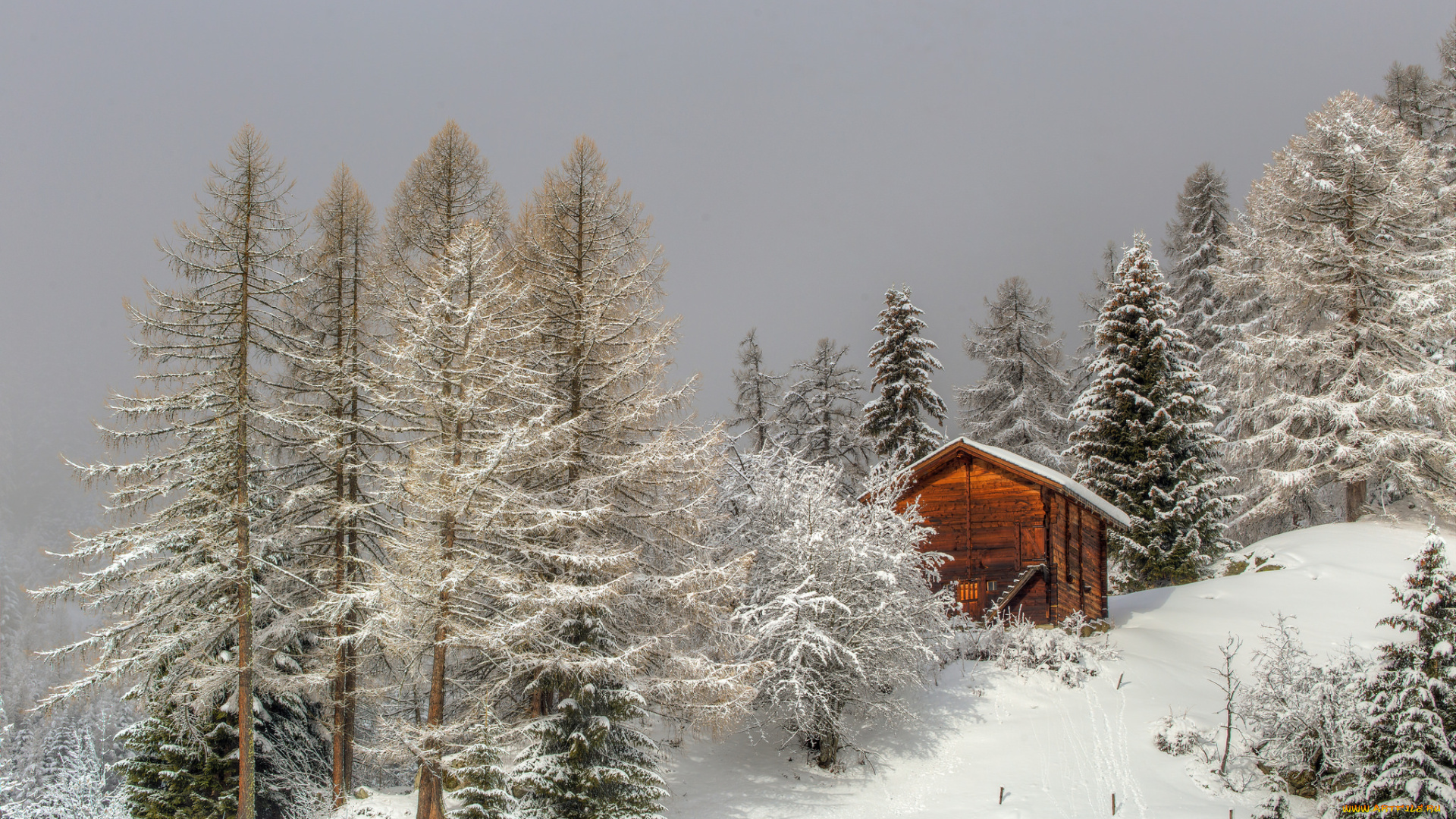 природа, зима, простор