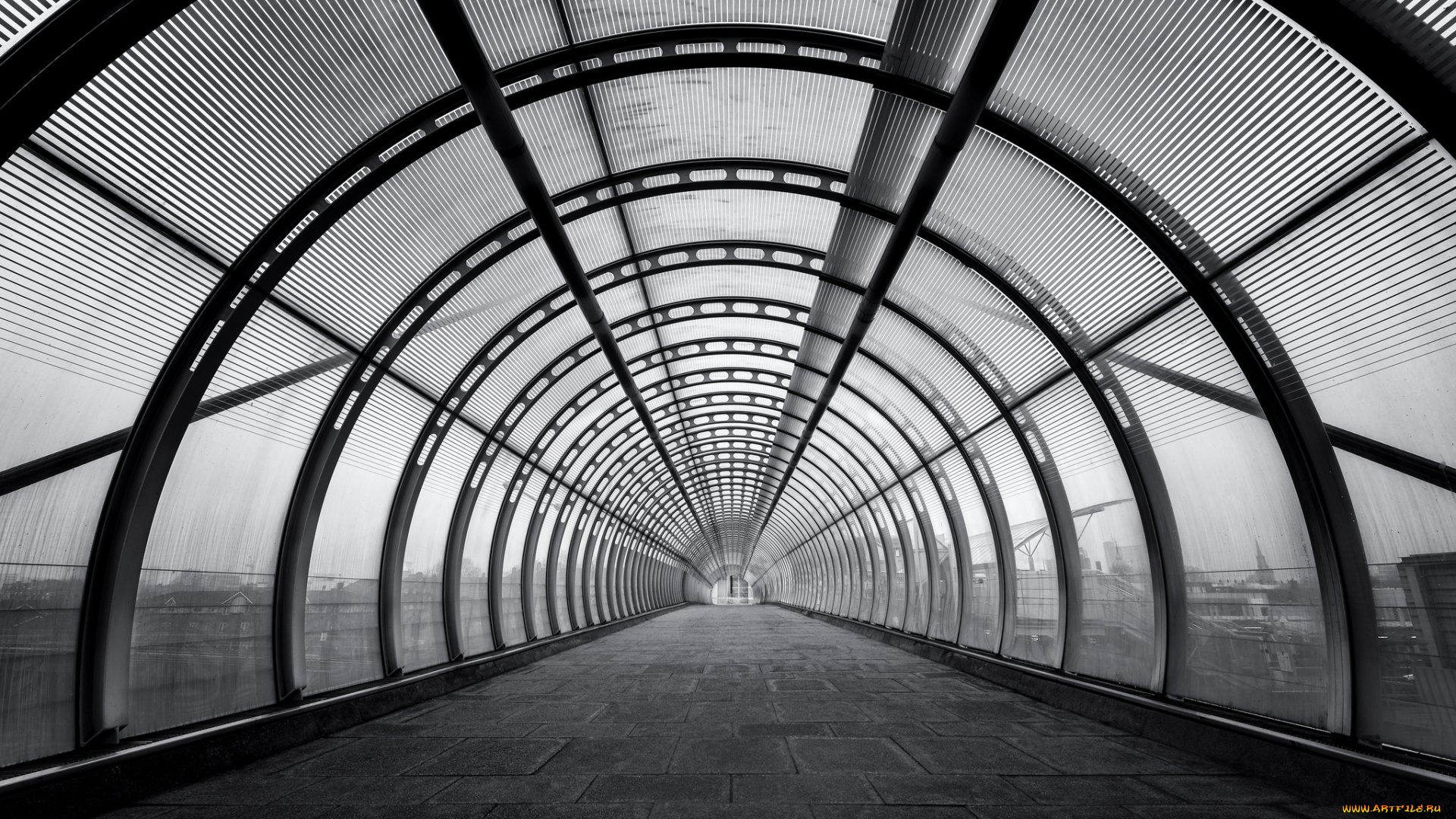 разное, -, другое, переход