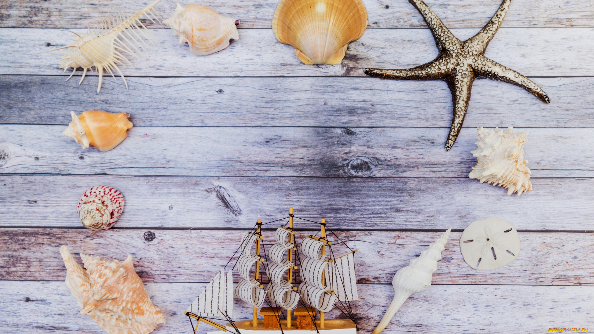 разное, ракушки, , кораллы, , декоративные, и, spa-камни, фон, кораблик, доски