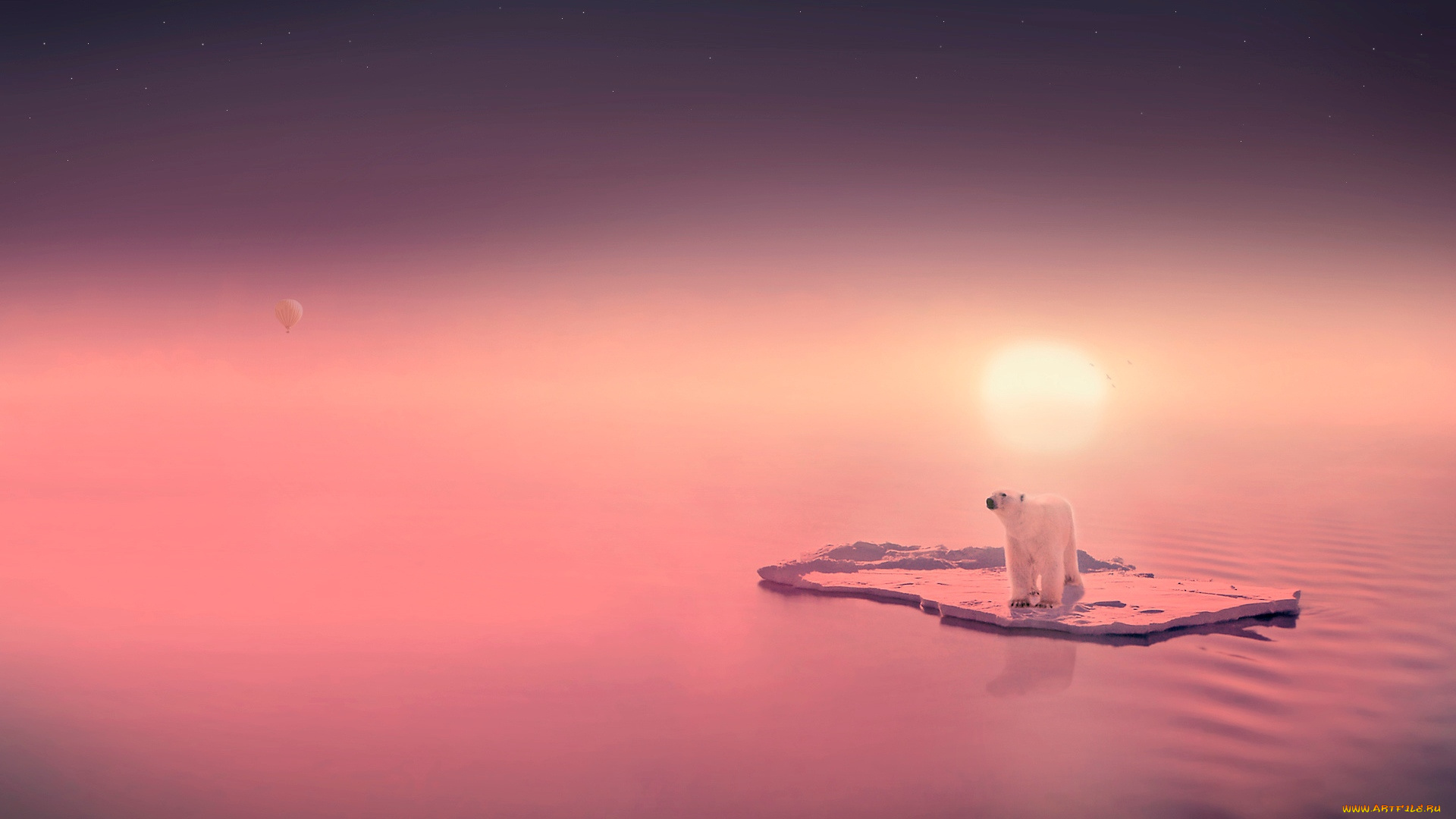 животные, медведи, льдина