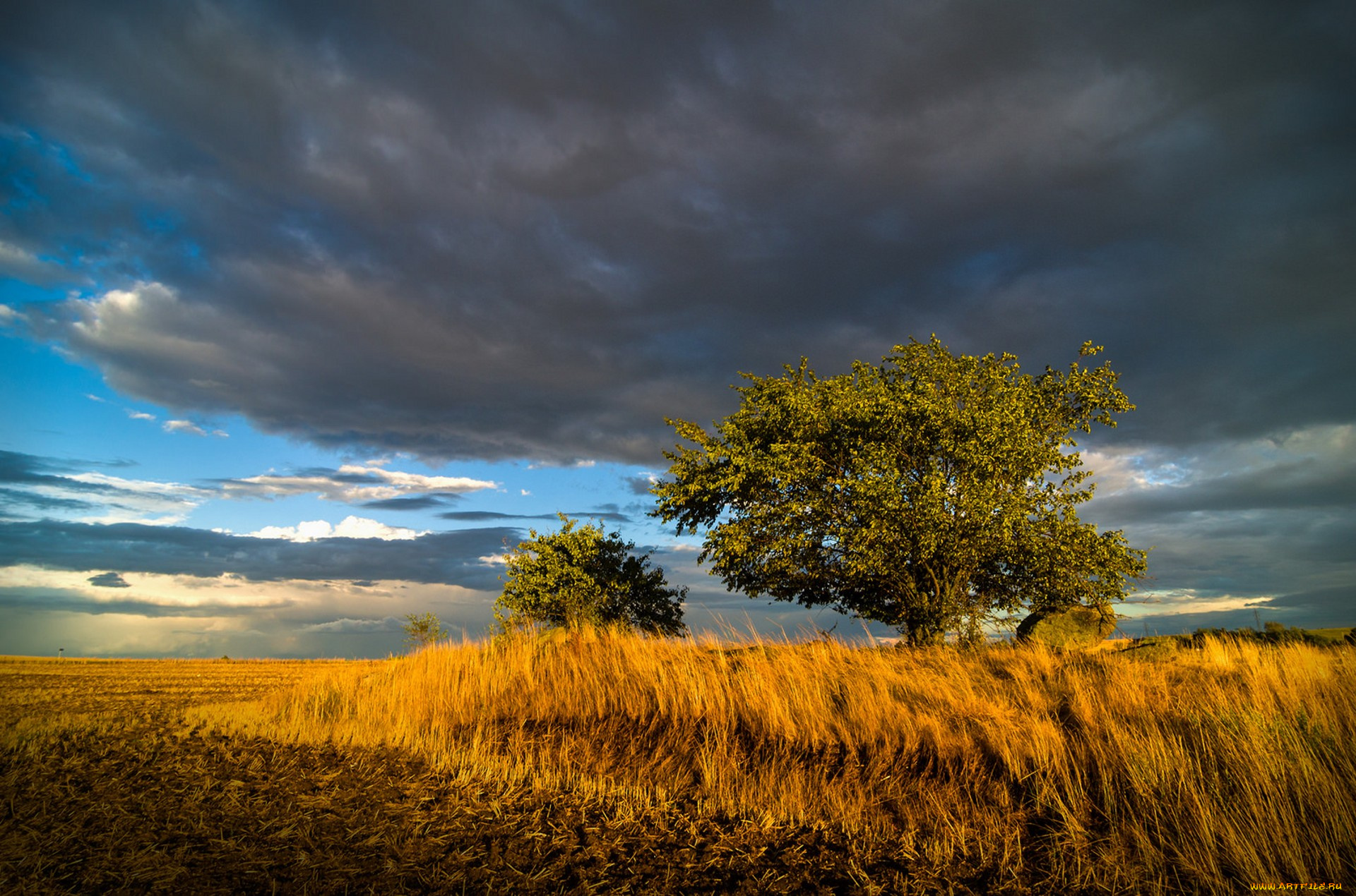 природа, пейзажи, простор