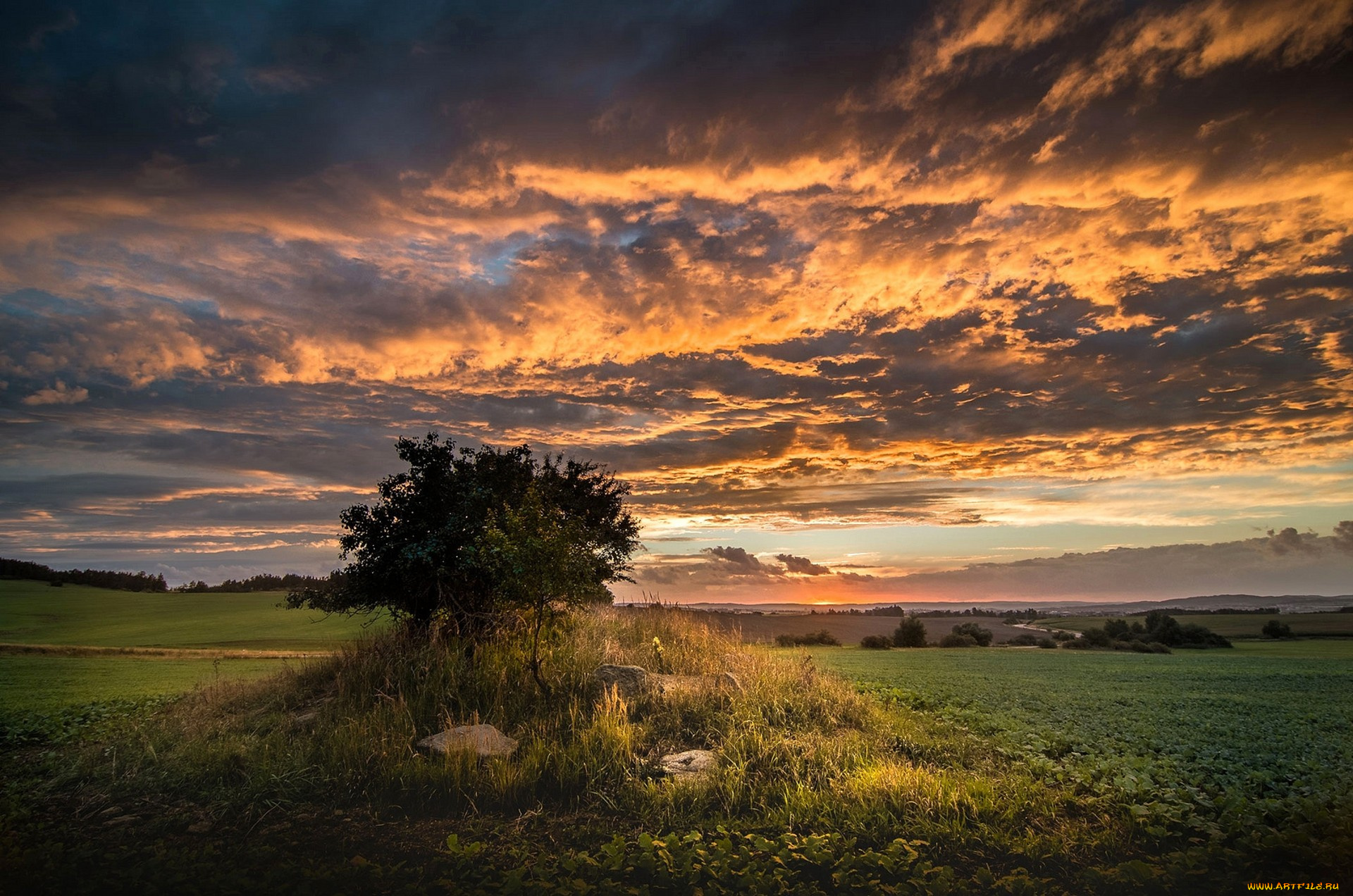 природа, пейзажи, простор