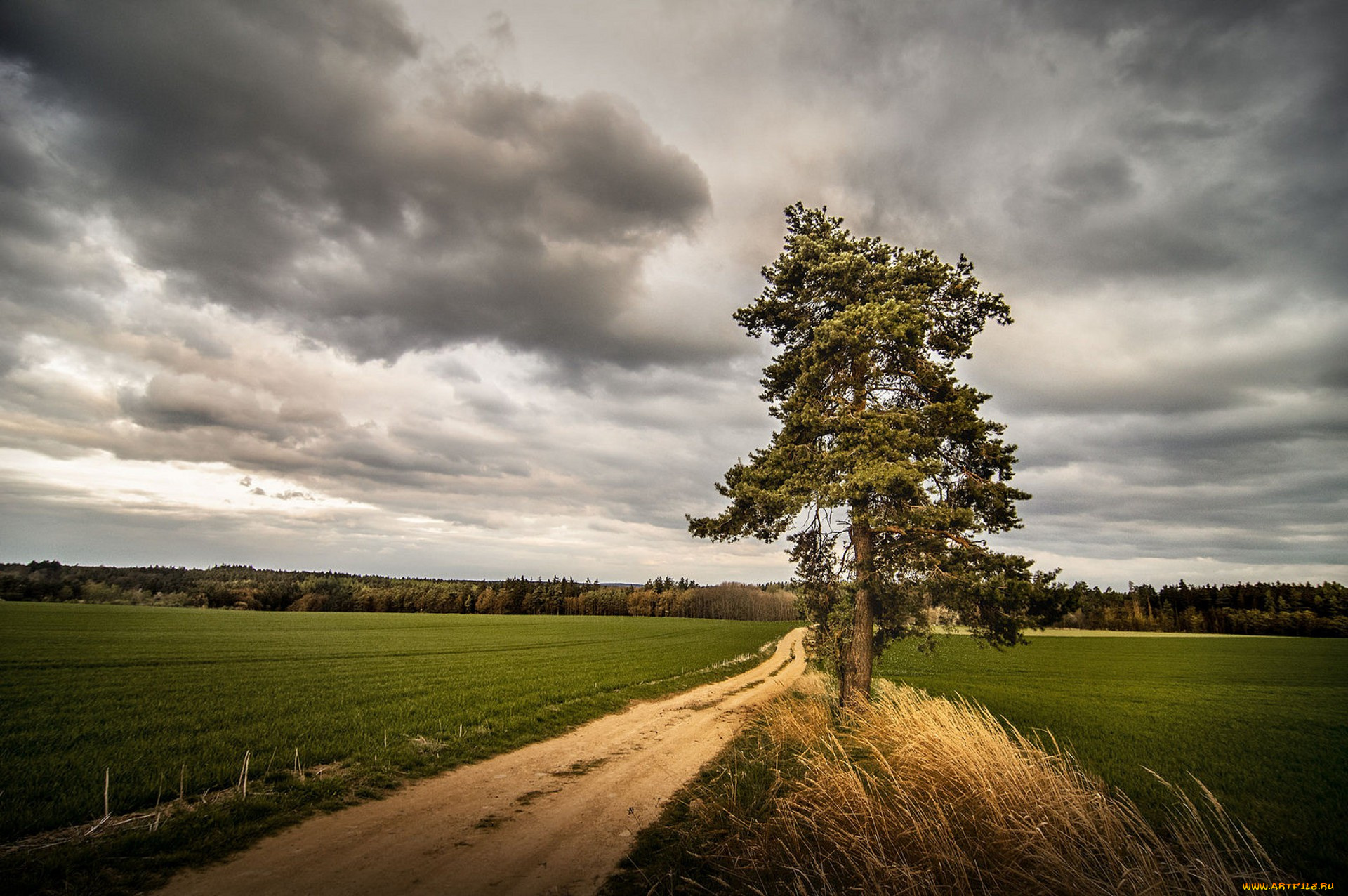 природа, дороги, простор