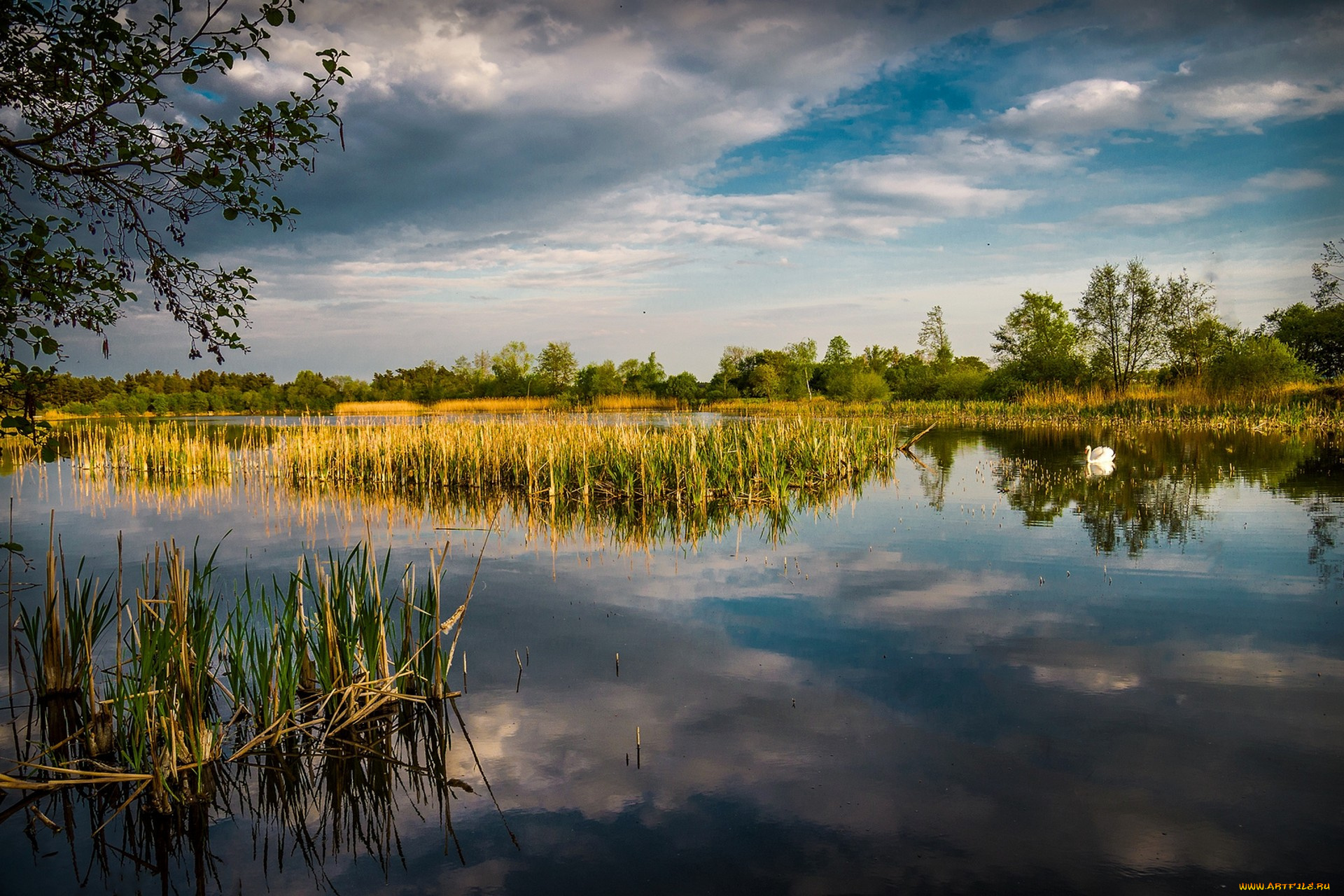 природа, реки, озера, простор