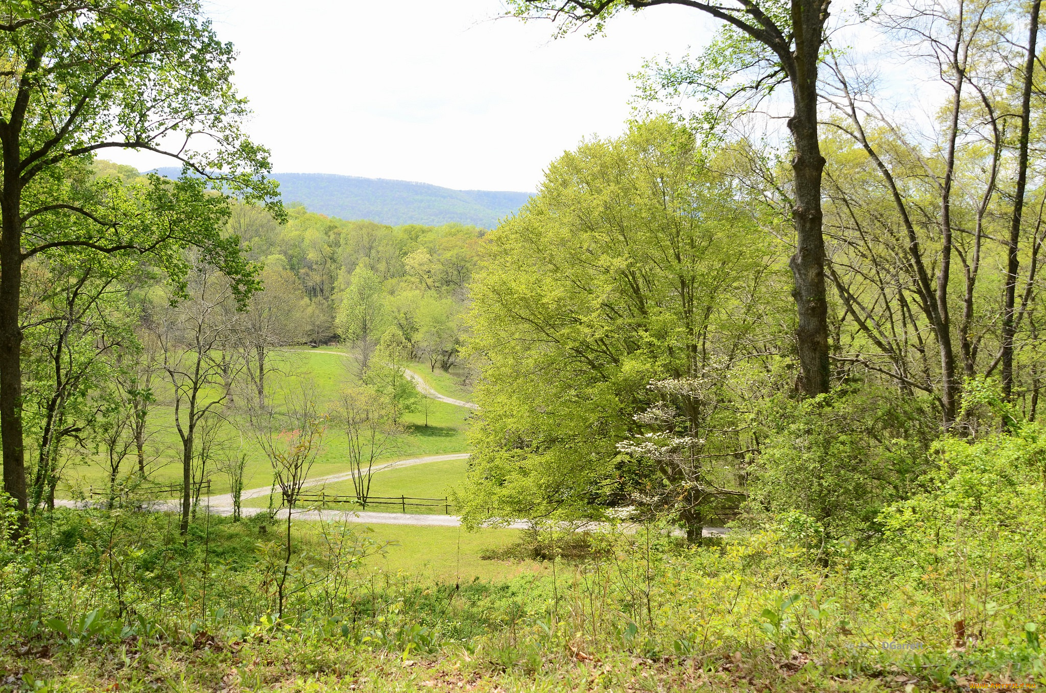 природа, дороги, весна