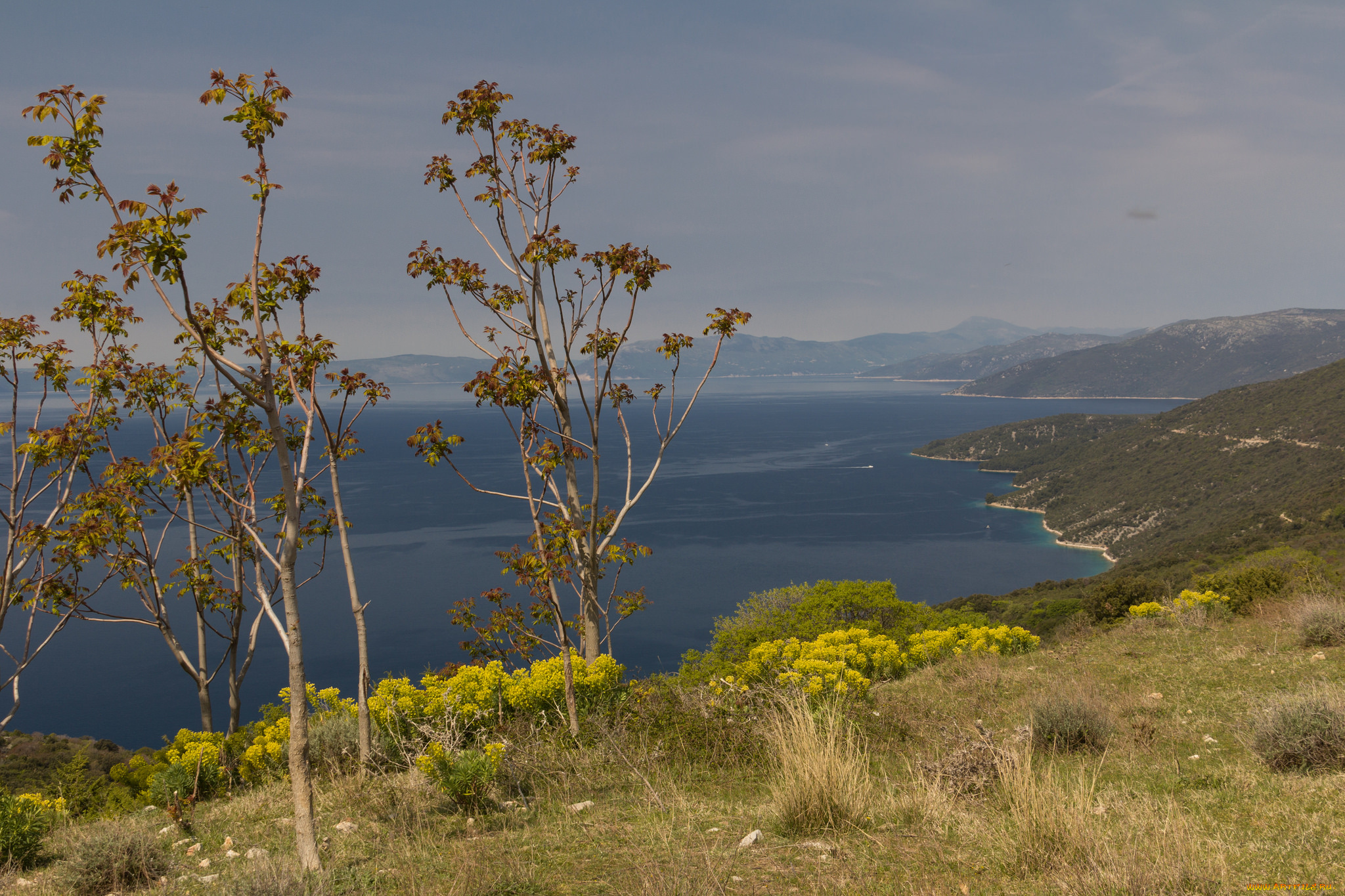 природа, побережье, пейзаж