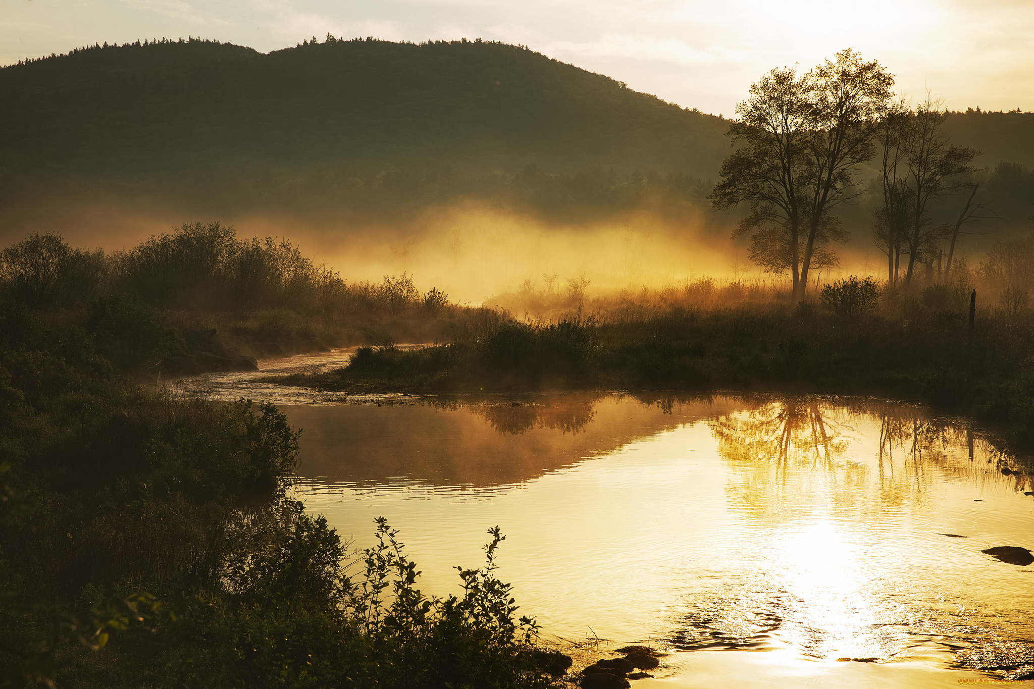 природа, реки, озера, простор