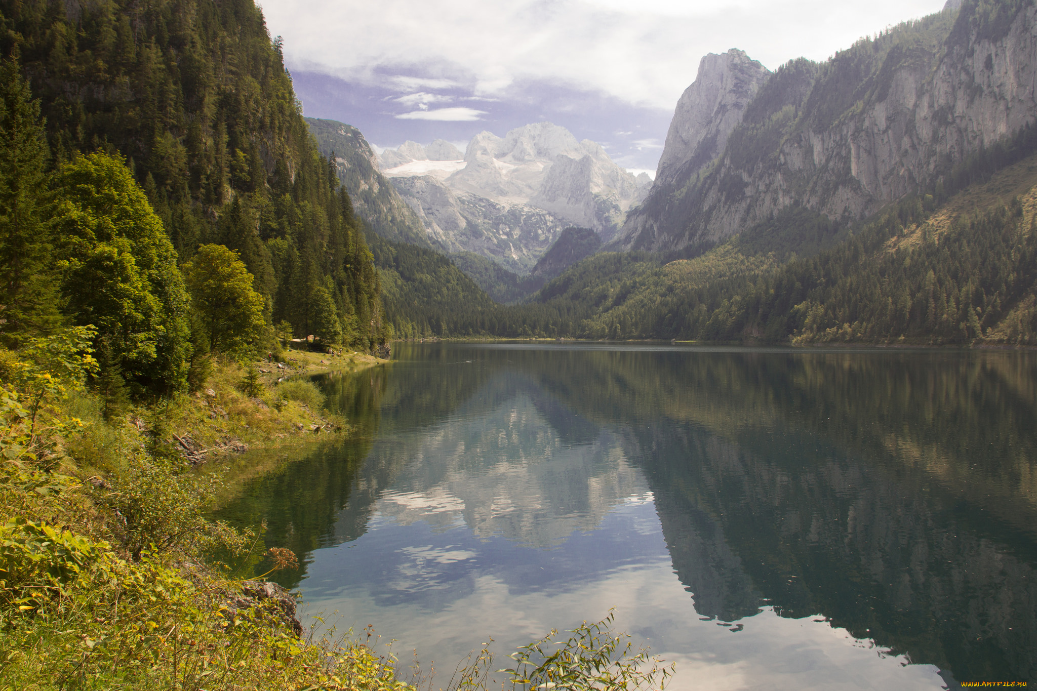 природа, реки, озера, река